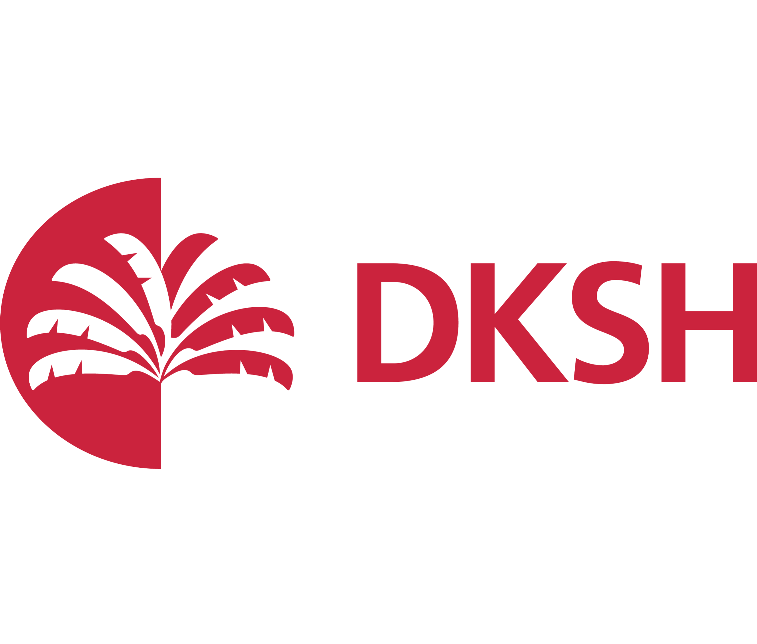 DKSH (Copy)