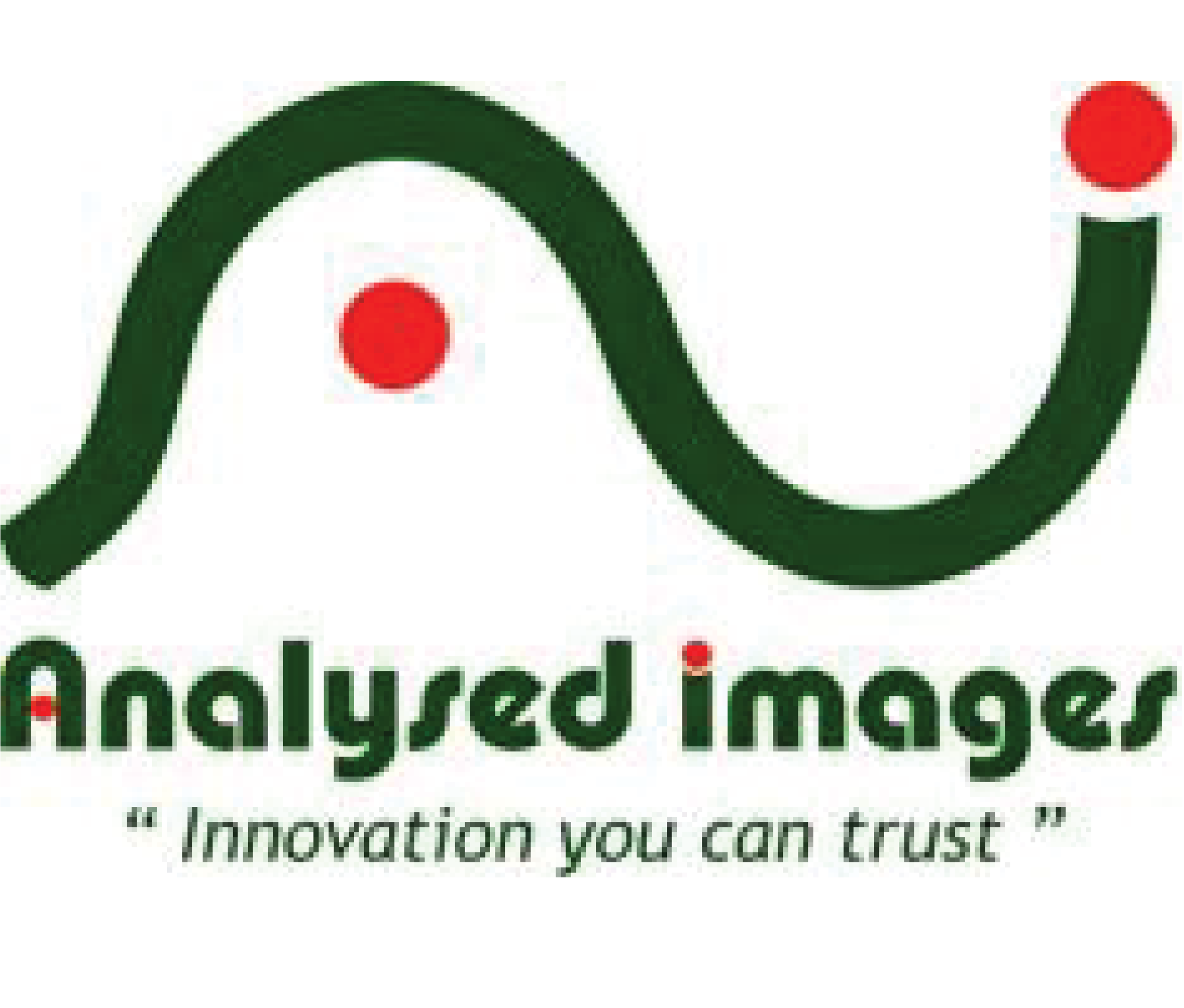 Analysed Images (Copy)