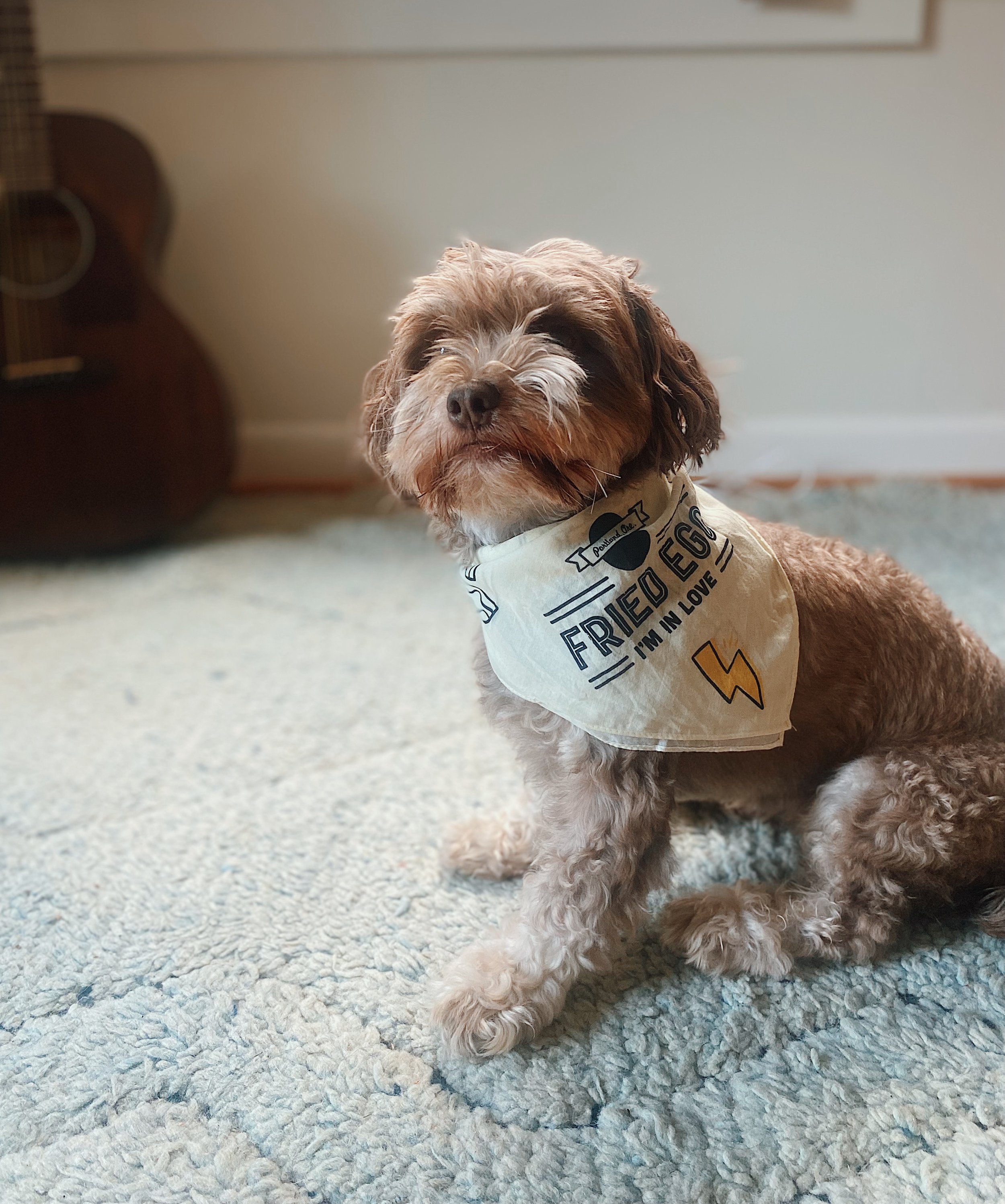 Fried Egg Bandana