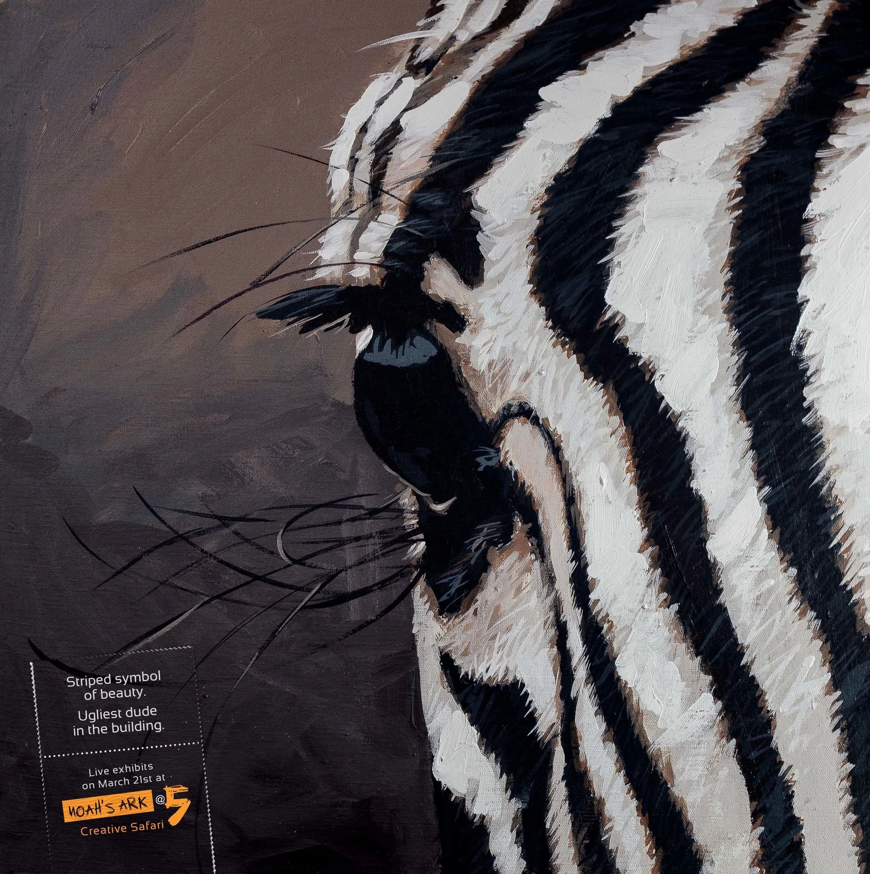 05_zebra_aotw.jpg