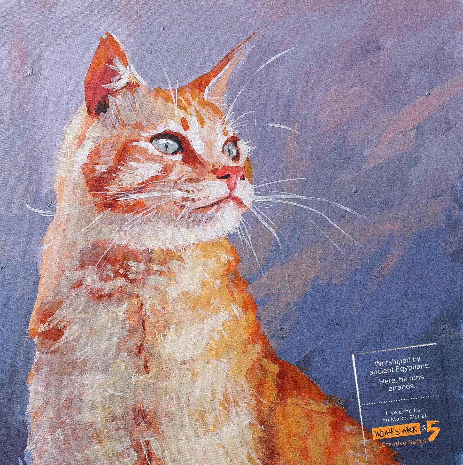 01_cat_aotw.jpg