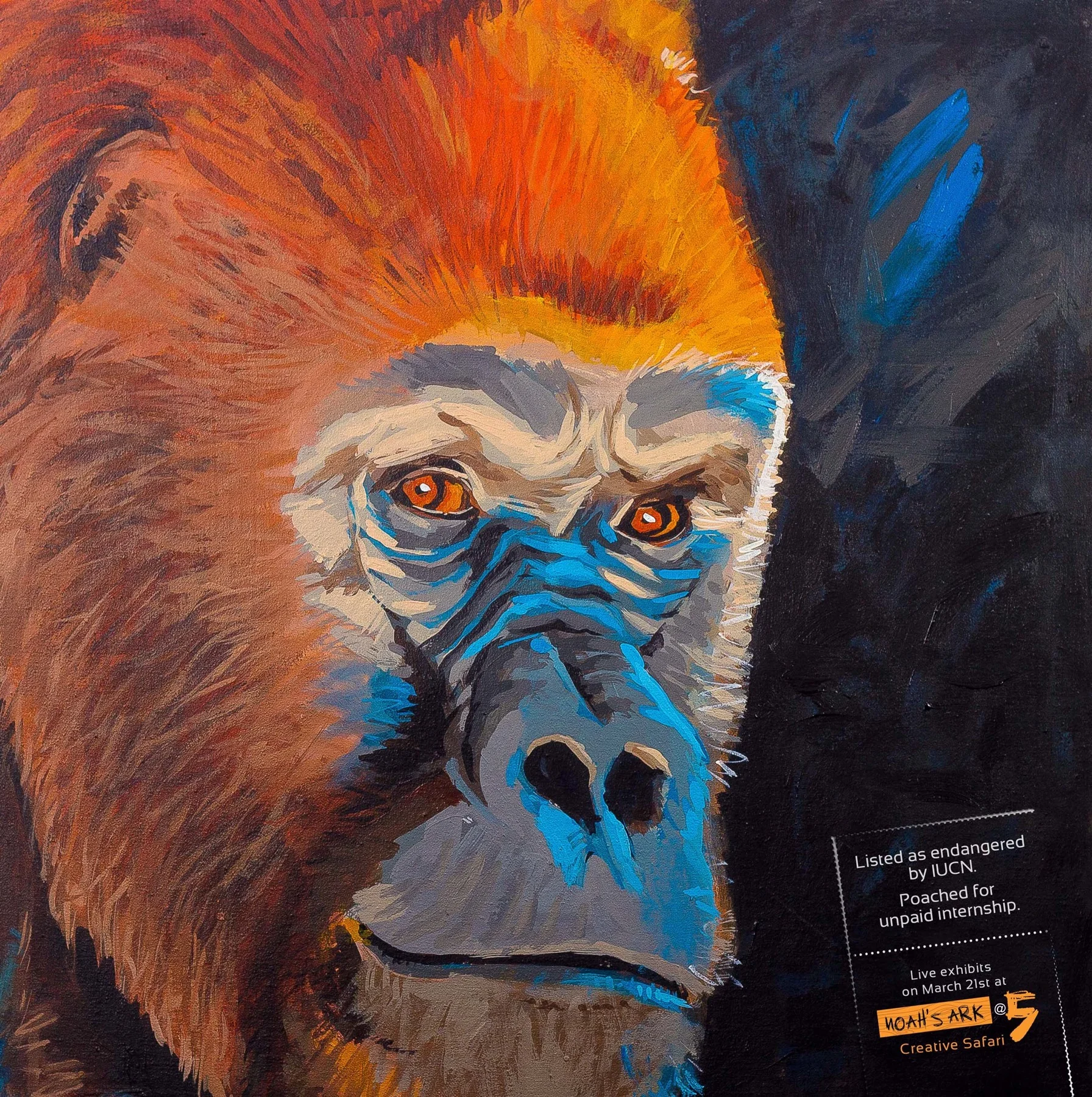 02_gorilla_aotw.jpg