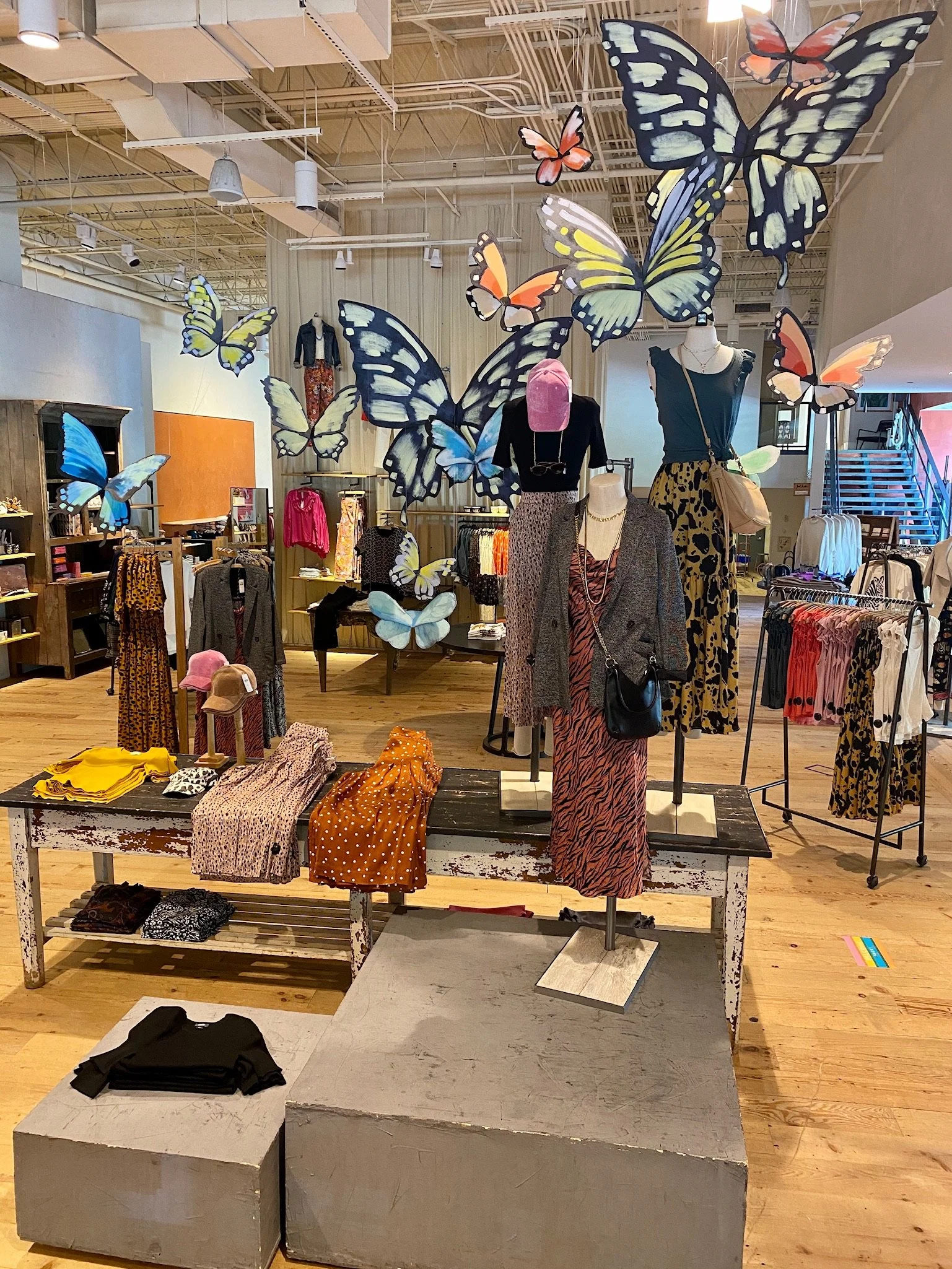 Fall 2020 Butterfly Display.JPG