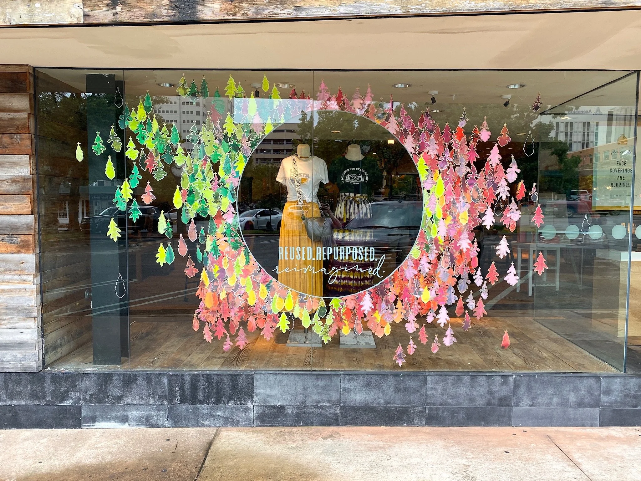 Fall 2020 Front Window.JPG