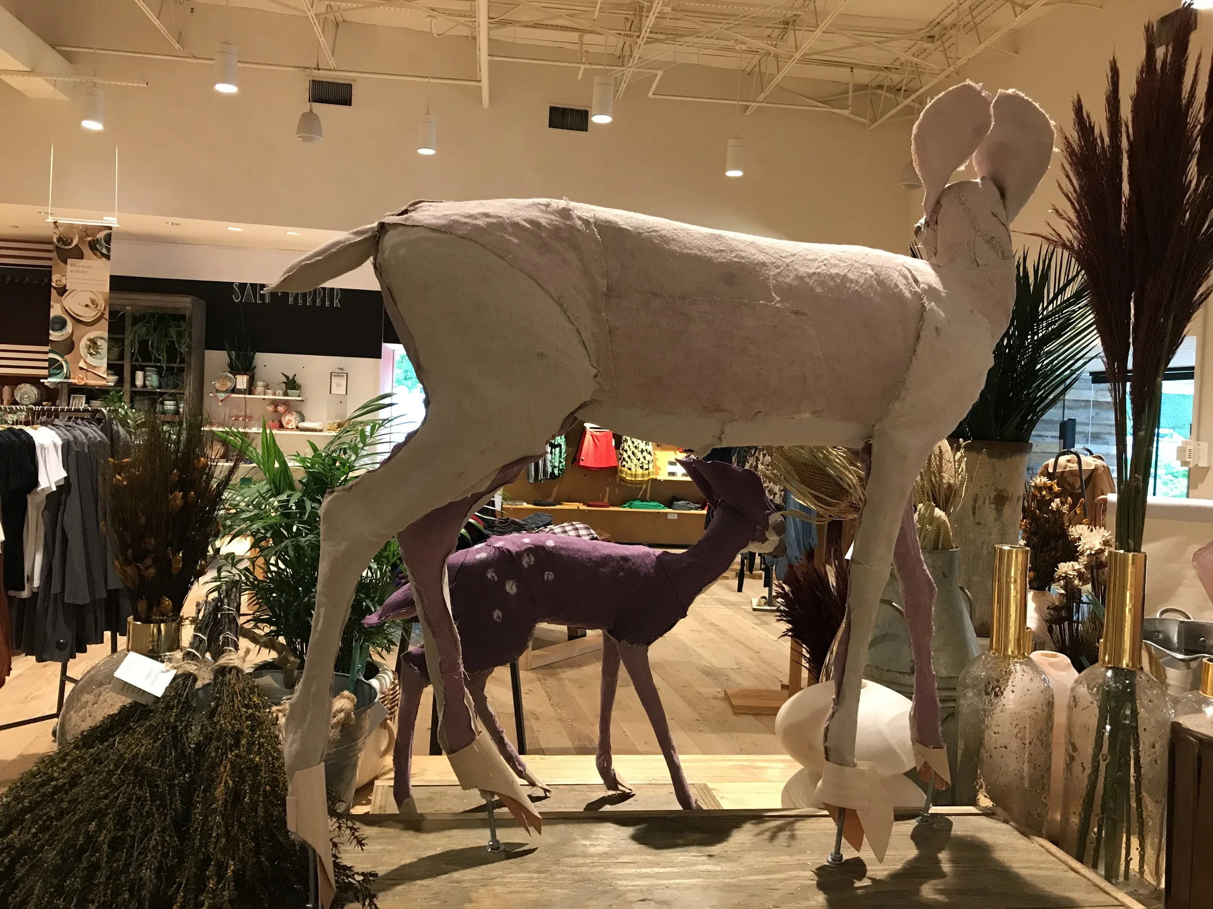 Doe and Fawn 4.jpg