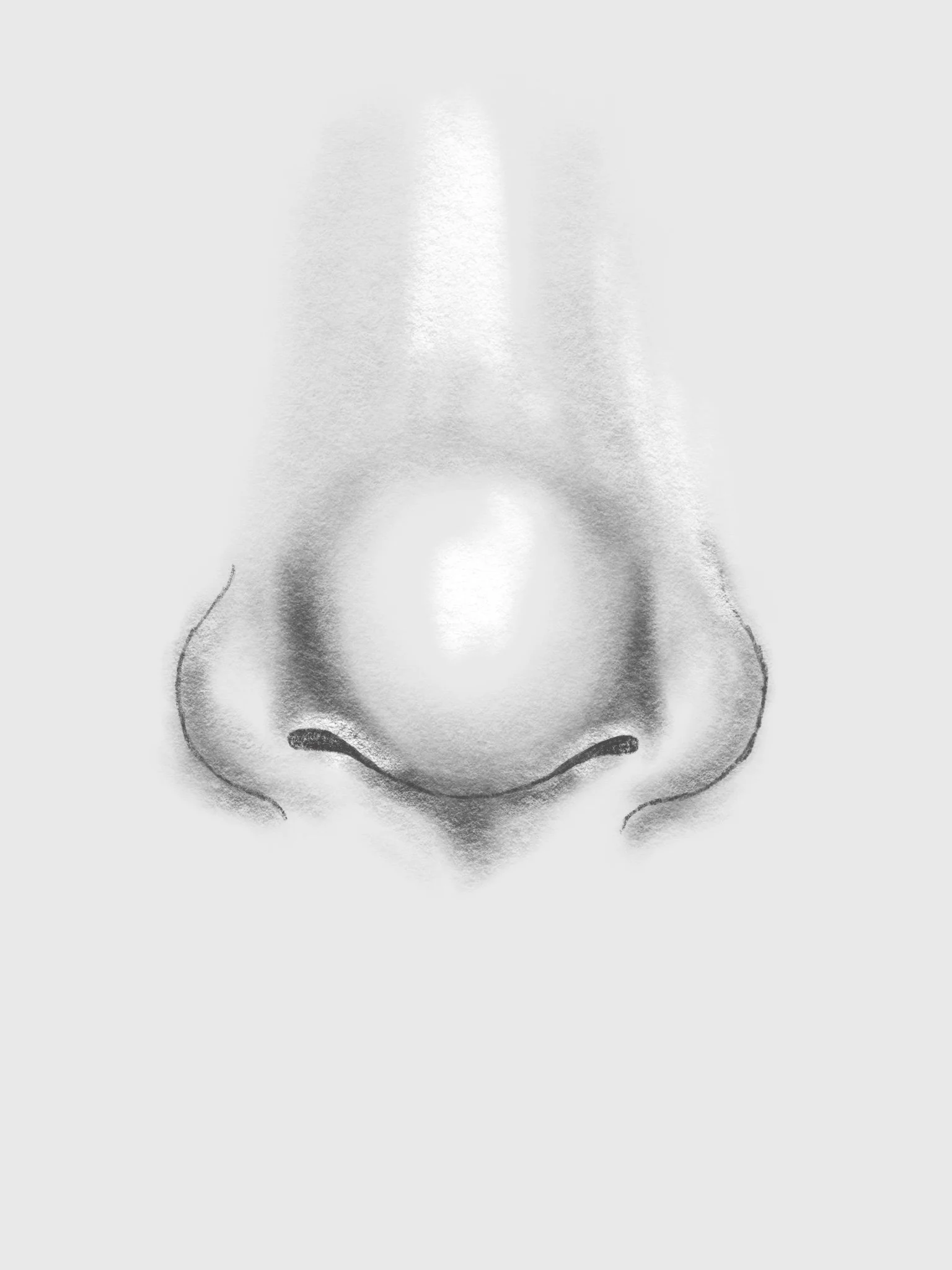 Untitled_Artwork+4+copy.jpg