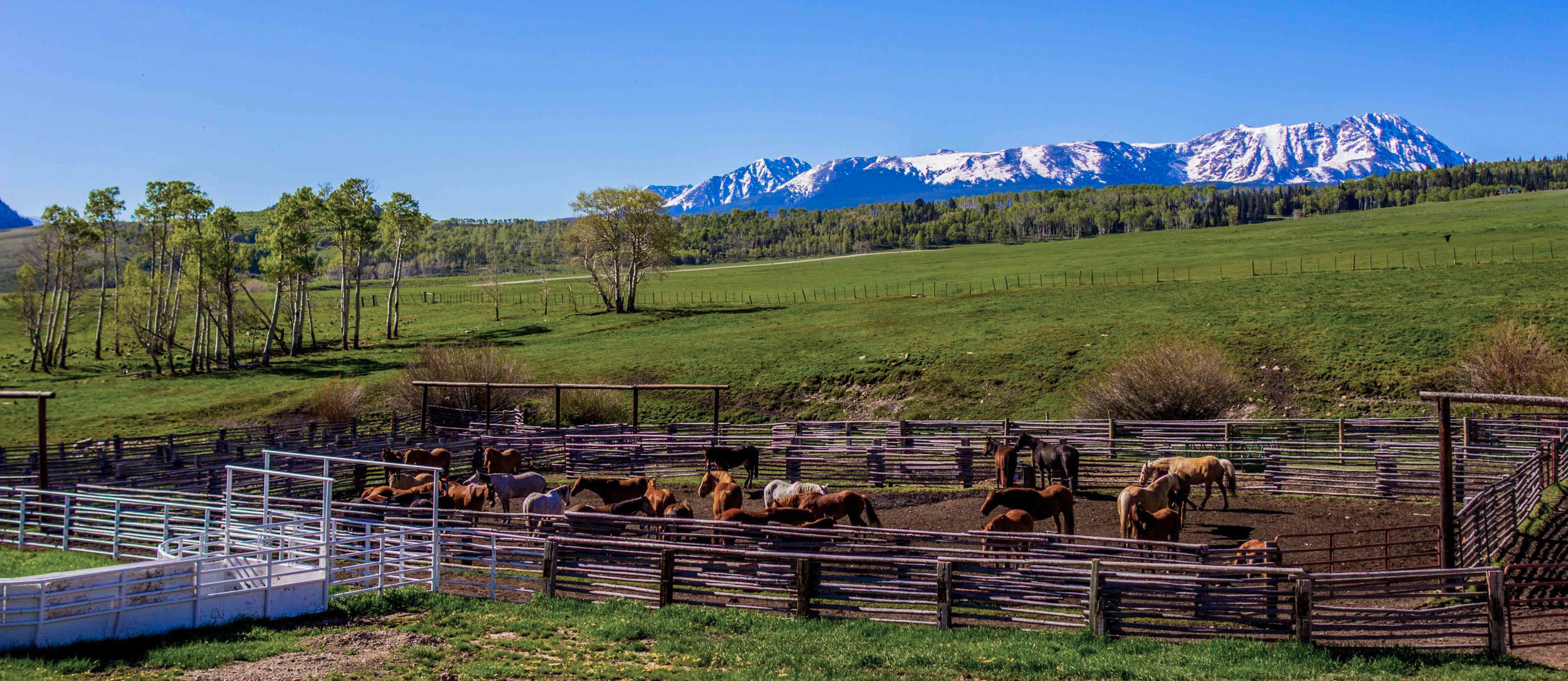 Horse-Corral-at-Working-Colorado-Ranch-Shadow-Creek.jpg