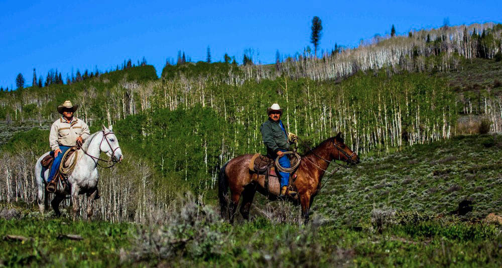 Riding-for-the-Roundup-at-Working-Colorado-Cattle-Ranch-Shadow-Creek.jpg