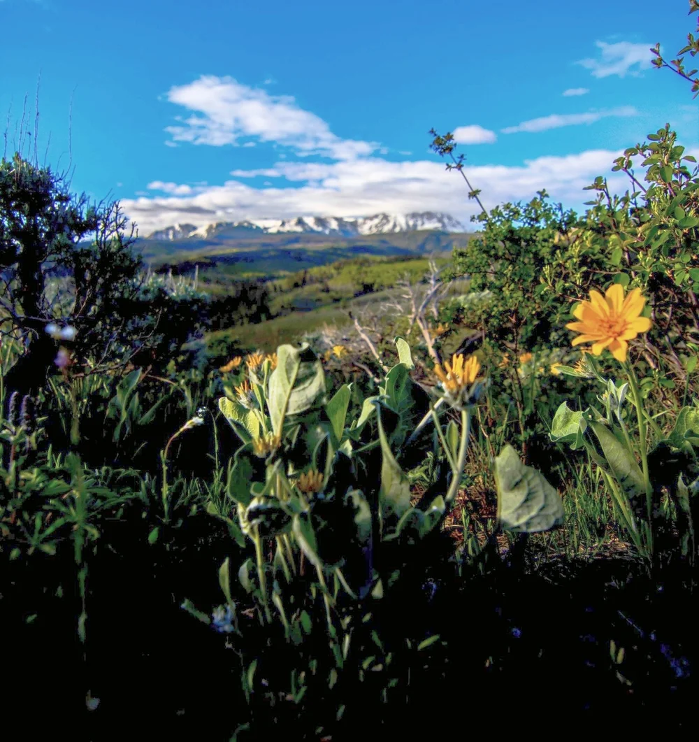 lush-mountain-meadow-at-shadow-creek-ranch.jpg