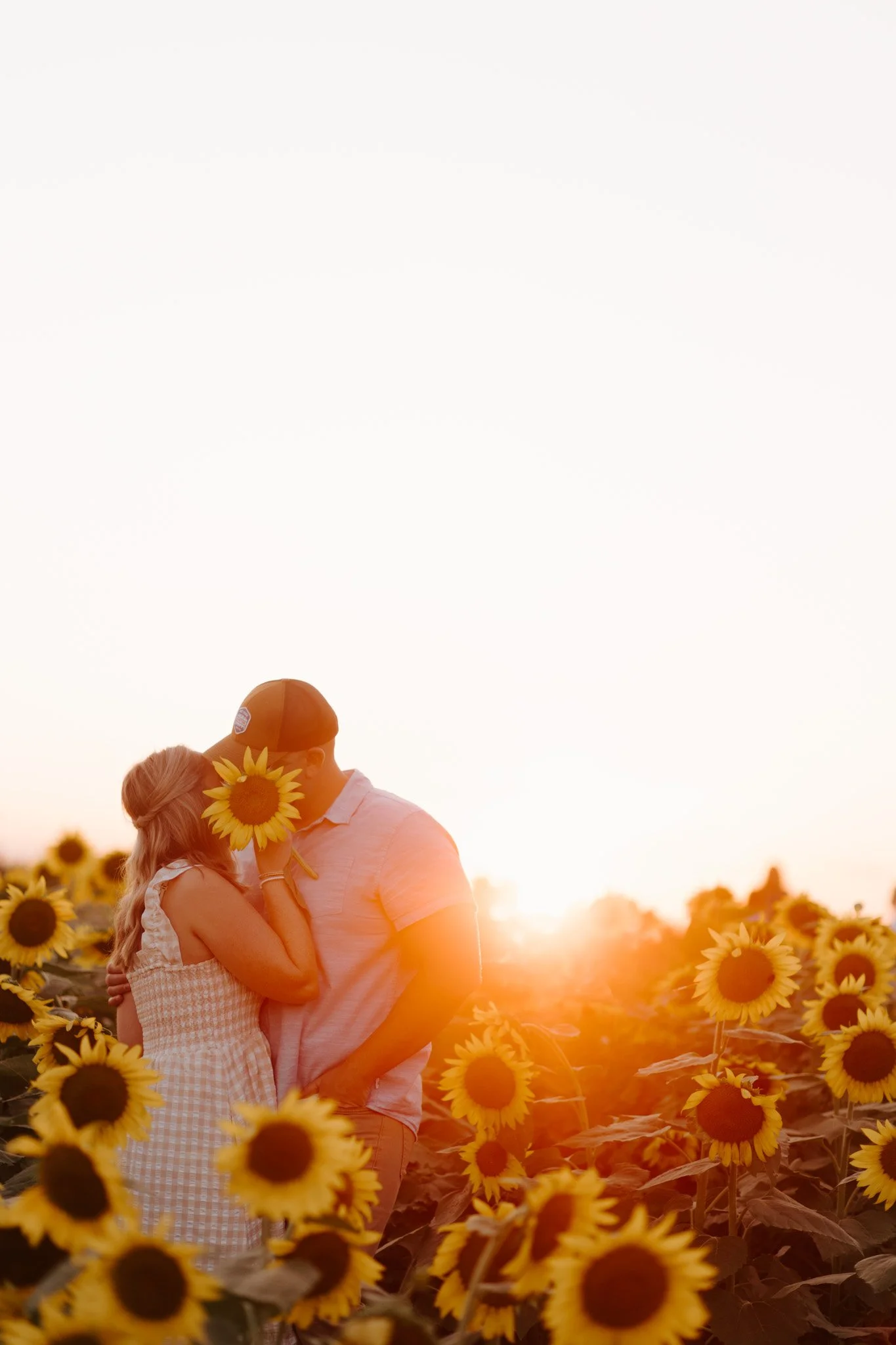sunflowerminis-2.jpg
