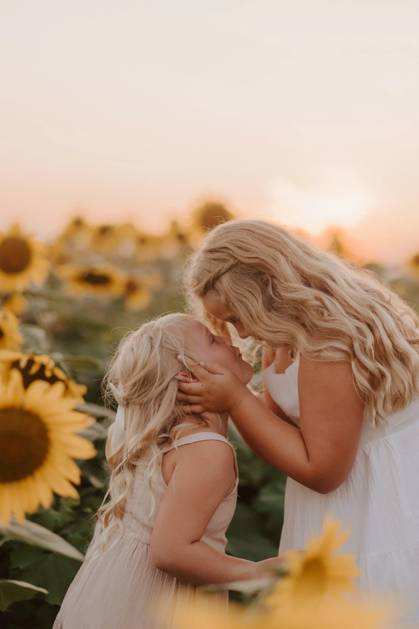 sunflowerminis-1.jpg