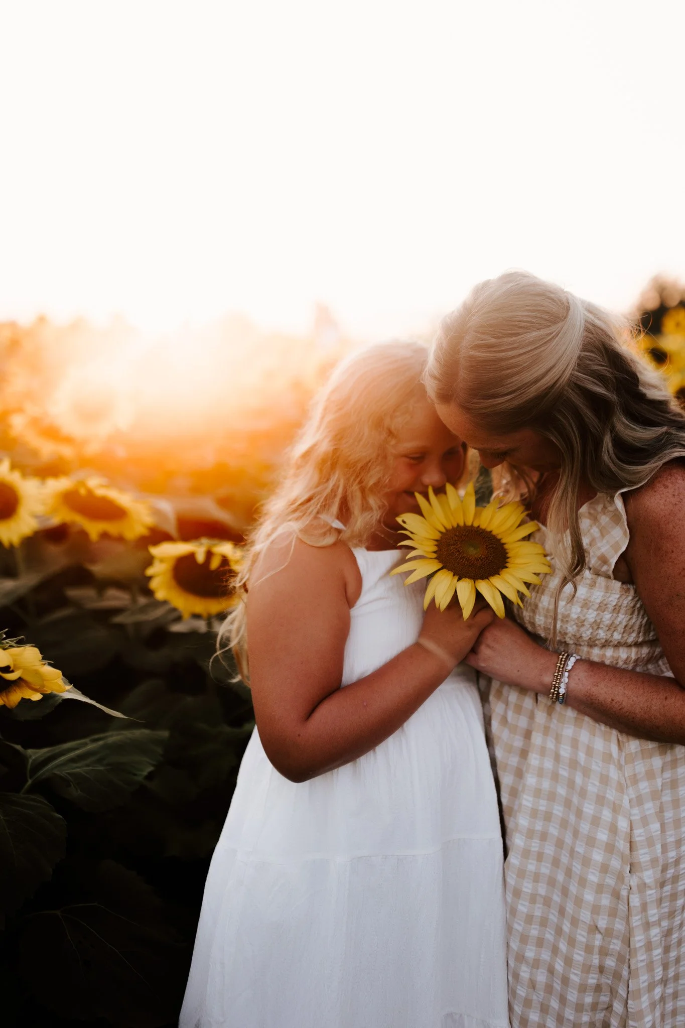 sunflowerminis-3.jpg