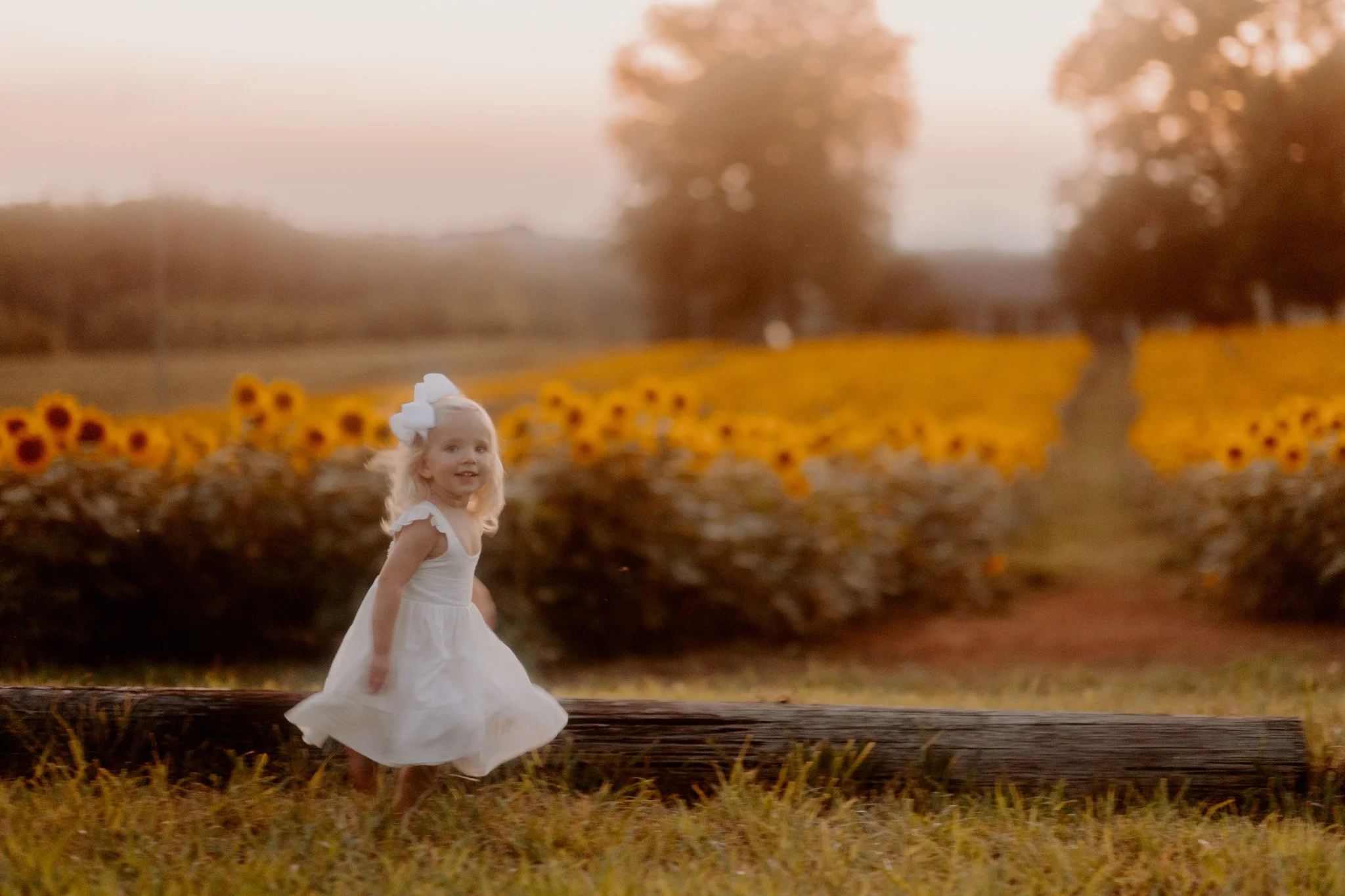 sunflowerminis-4.jpg