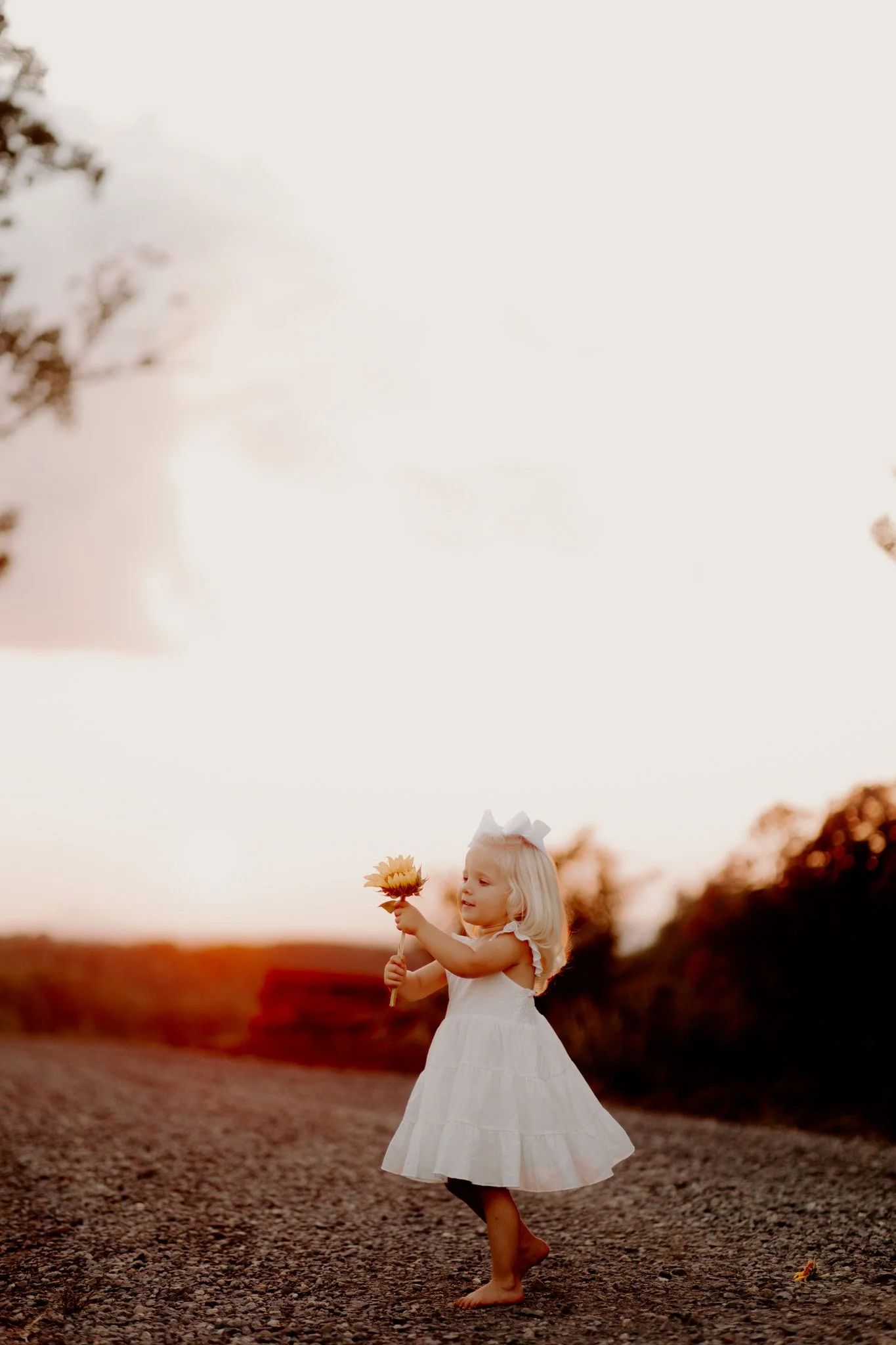 sunflowerminis-5.jpg