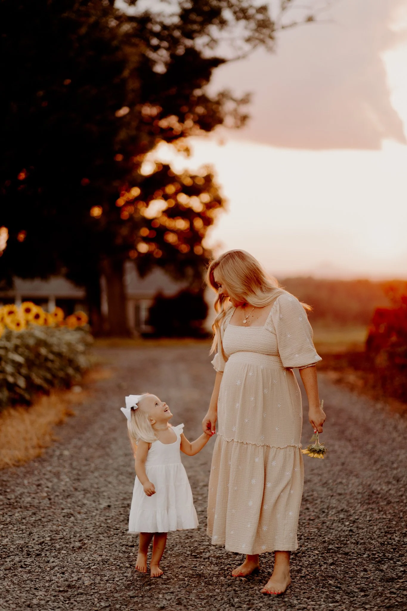 sunflowerminis-6.jpg
