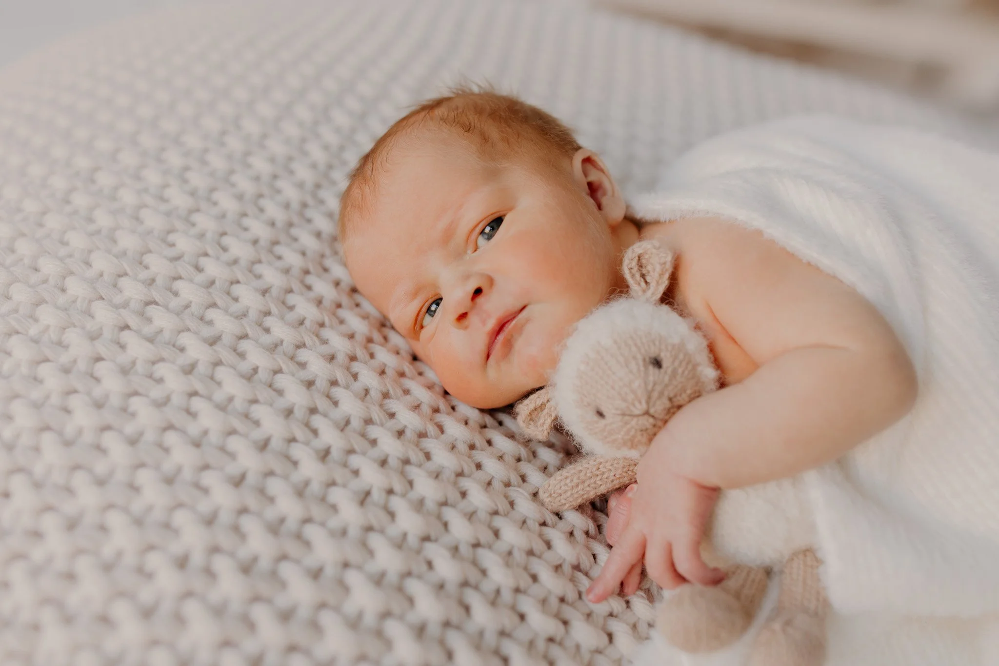 newborn-3.jpg