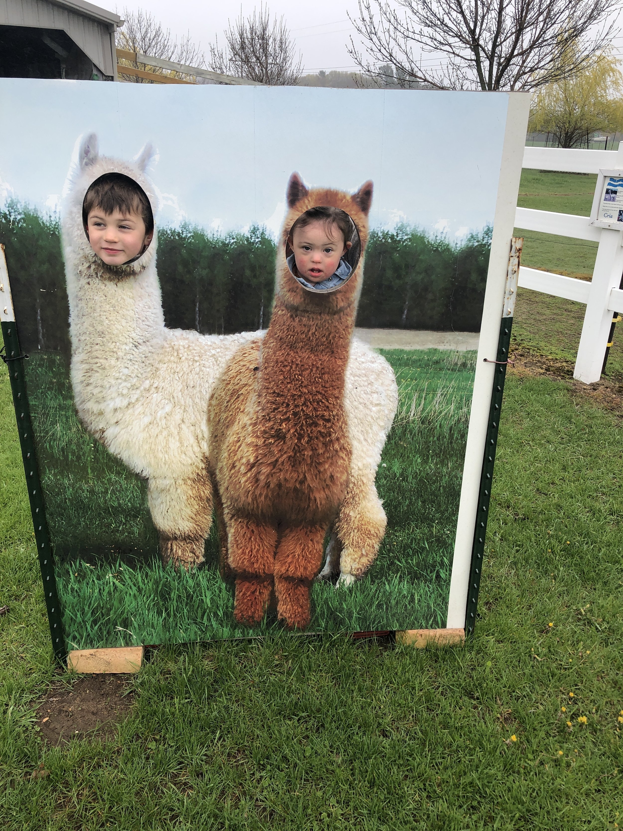 Looking Back on May 2019