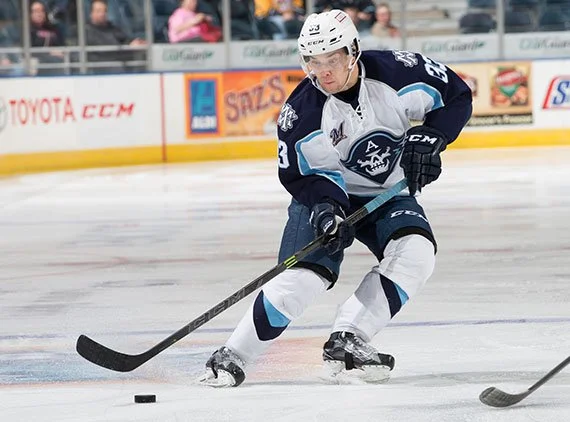 Milwaukee Admirals Game