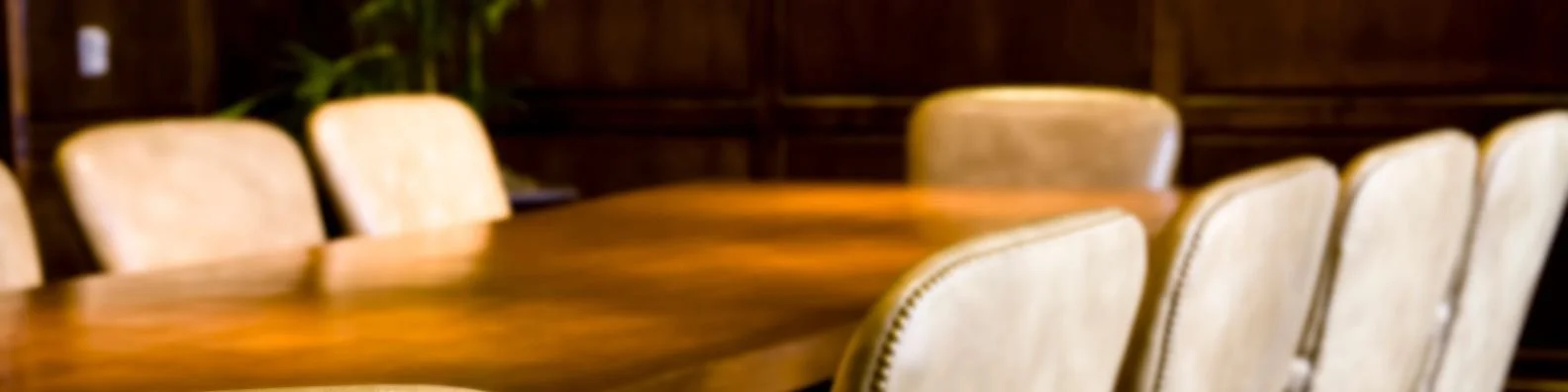 board of directors.jpg