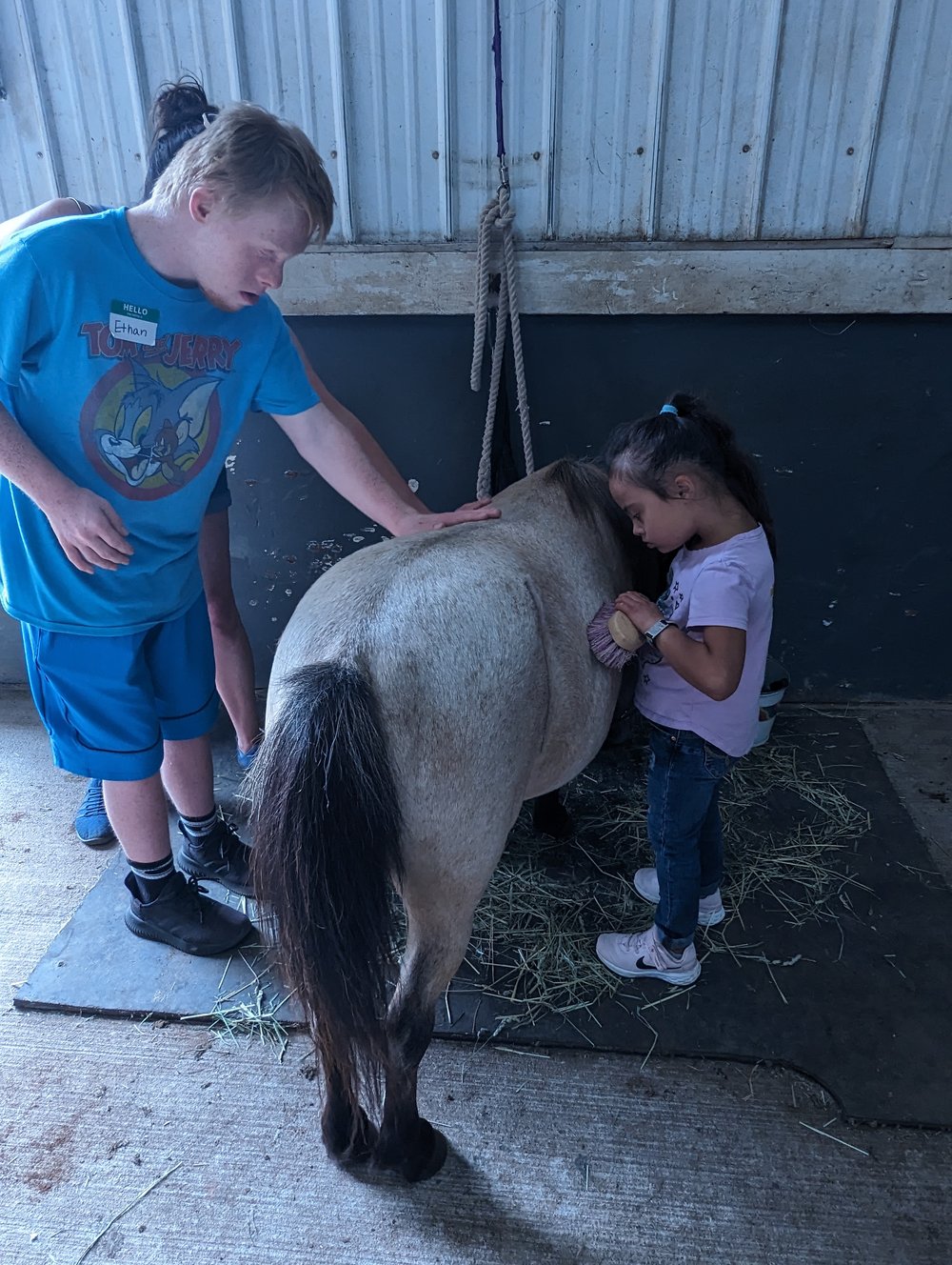 Chipp. Valley - Equine Therapy.jpg