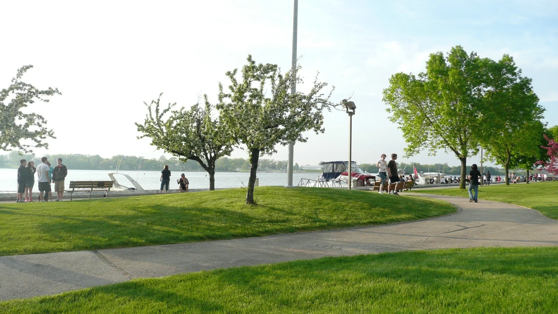 DSAW- Green Bay Summer Family Picnic