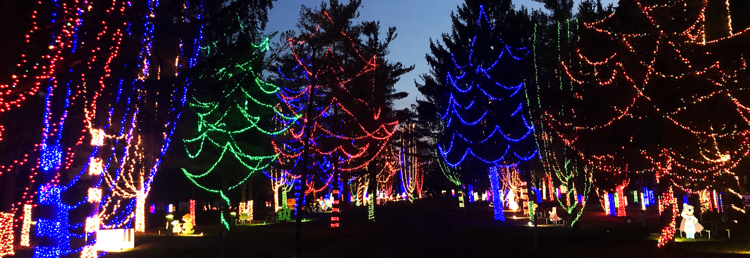 DSAW-Southeastern Region Christmas Carnival of Lights