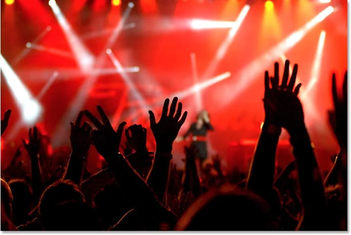 concert2.jpg
