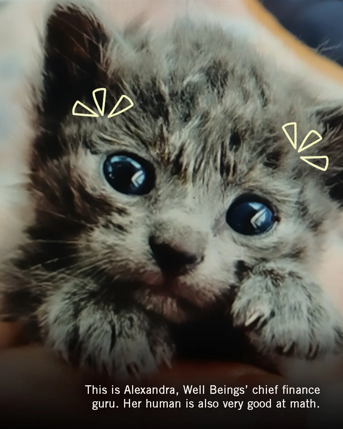 Trend adaptation. Carousel jumping on a viral format for the Well Beings brand, featuring baby photos of the team behind the organization.