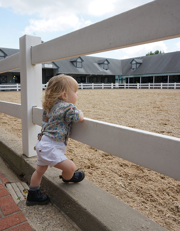 A Day at the Races