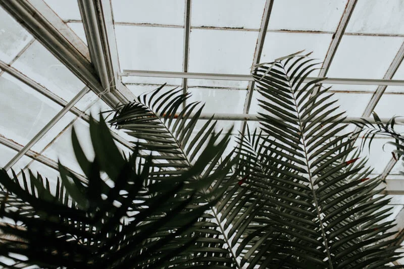 BowerbirdAtelier_BotanicalGardenEditorial_RachelWakefield-7.jpg