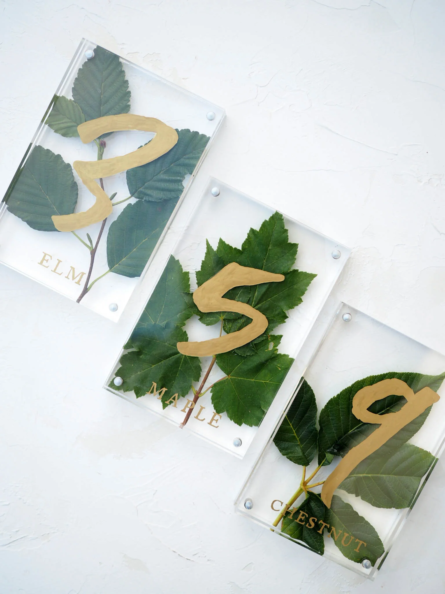 Botanical Table Numbers by Bowerbird Atelier