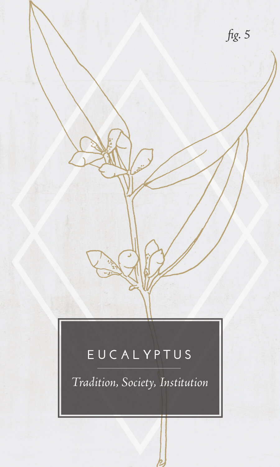 Kent Modsatte Pædagogik 05: Eucalyptus / The Hierophant — Bowerbird Atelier | Intention & Ritual