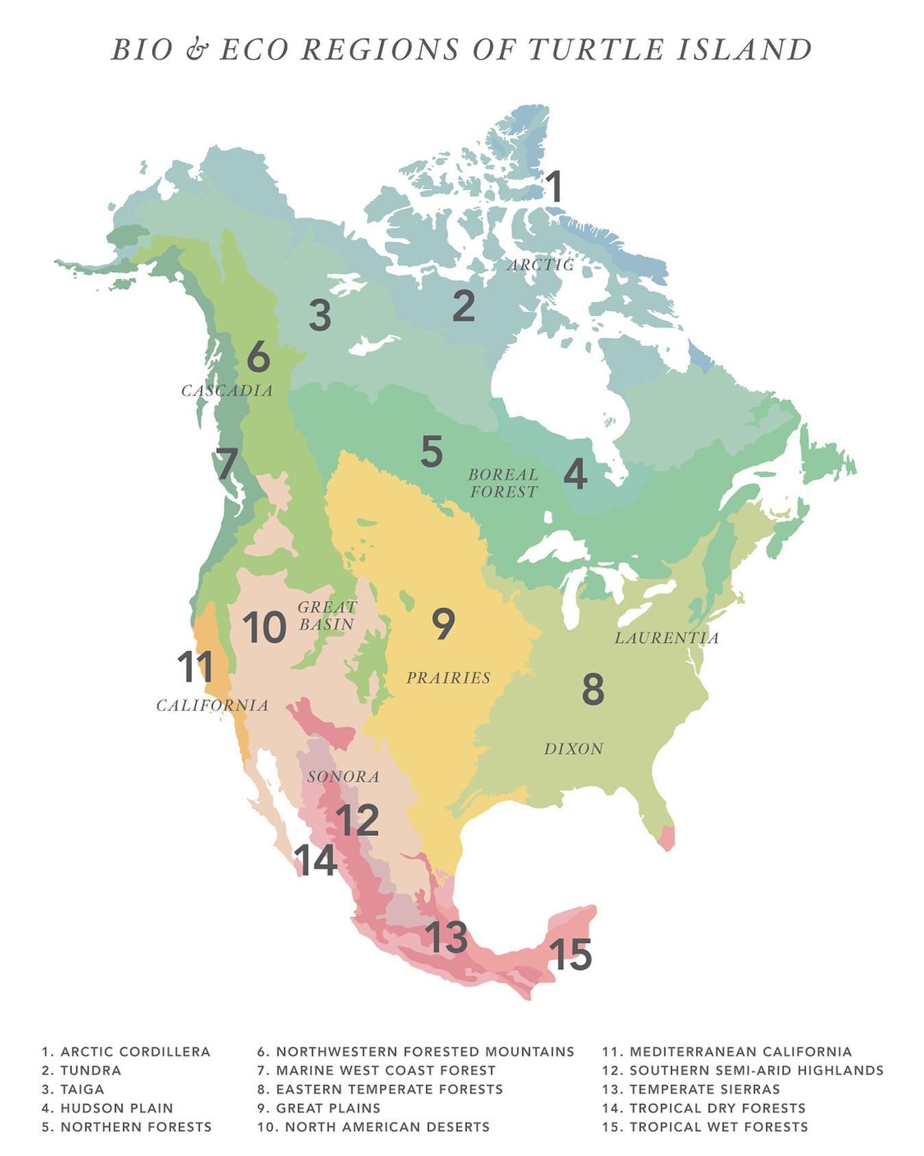 These past few years I&rsquo;ve been inspired to think more deeply about the environmental and land-based ways we can shift our thinking about our environment and the land we occupy. Do you know the bioregion or ecoregion you are a part of?
.
What wo