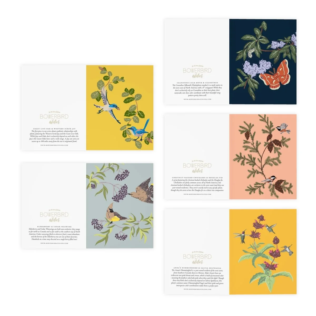 c08c987b6391ca5fd0306f4d60cfee6a