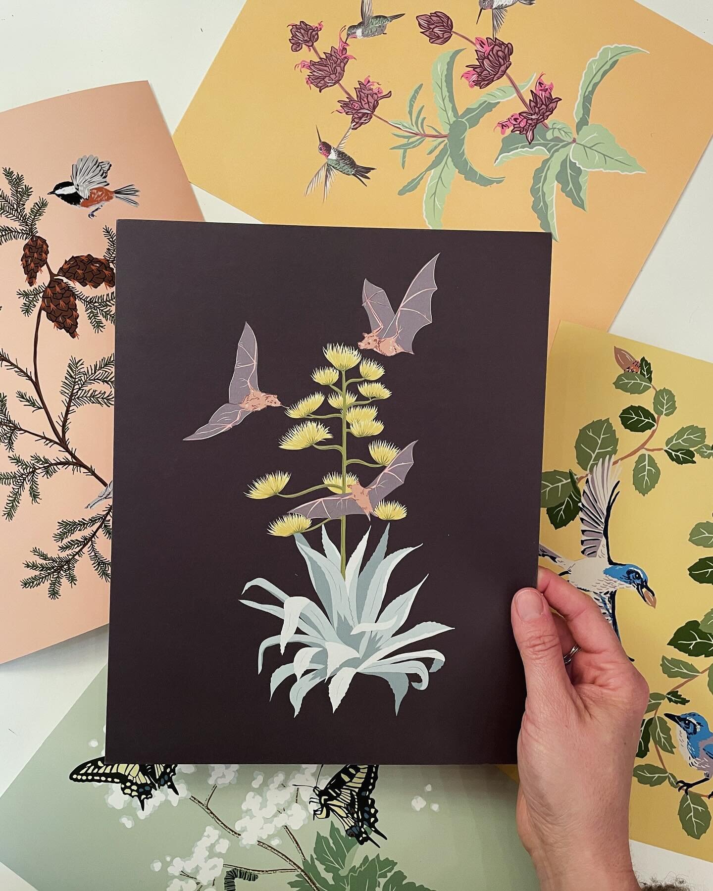 Prints are now live on my site! ✨ Available in 8x10, 11x14, and 16x20 sizes.

Thanks for supporting my small business and being as excited about native plants as I am 🌿💛
.
.
.
#californianativeplants #symbiotics #pollinators #pollinatorplants #bota