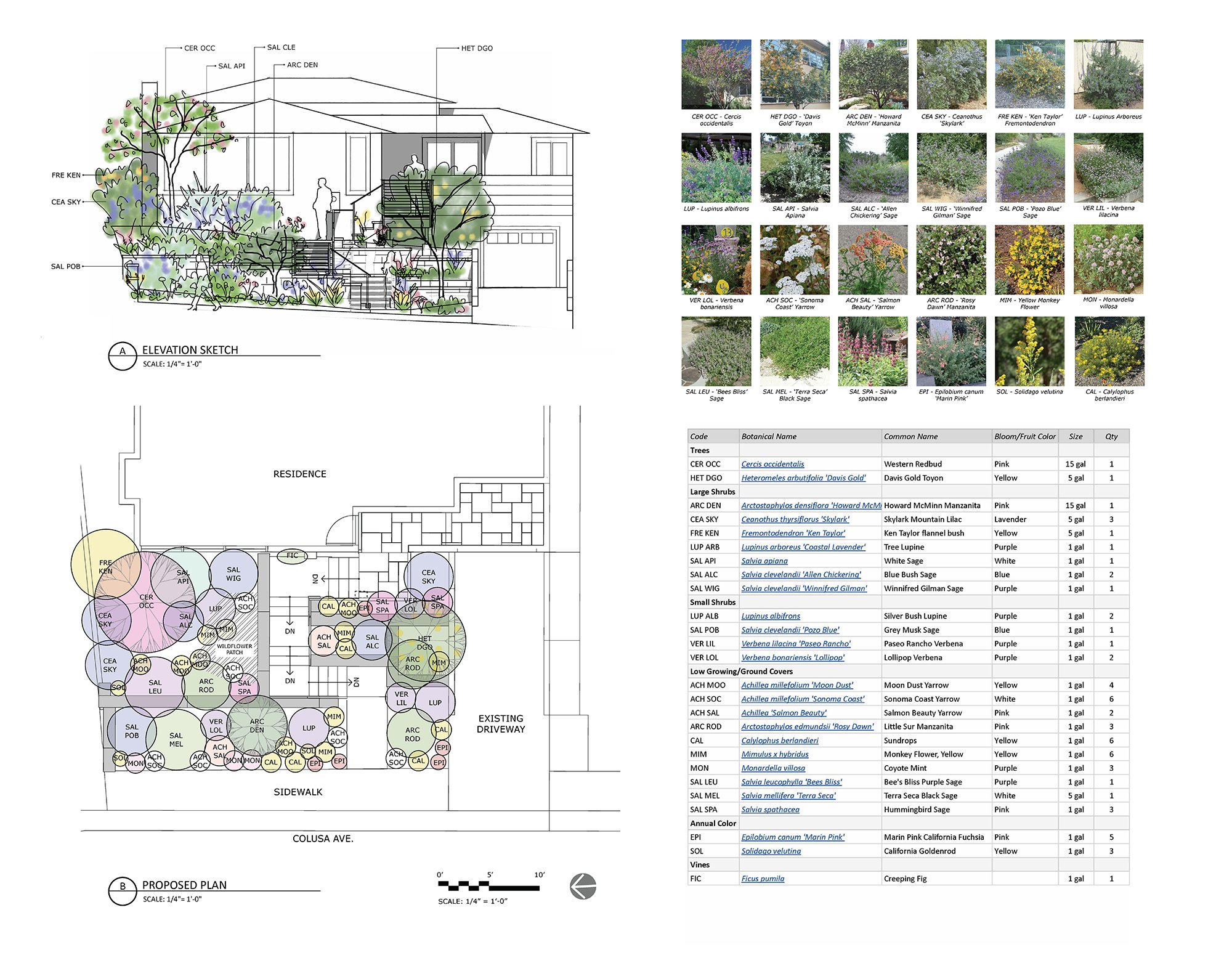 2024.07.24_POPPE_SHINN_PlantingDesign_Update.jpg