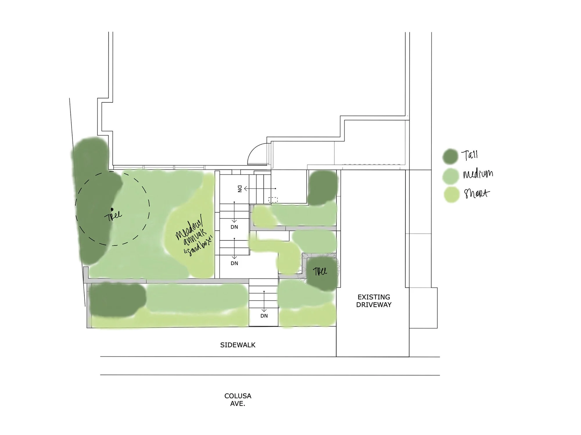 040824 Stephanie Poppe:Shinn Plant Height Sketch.JPG