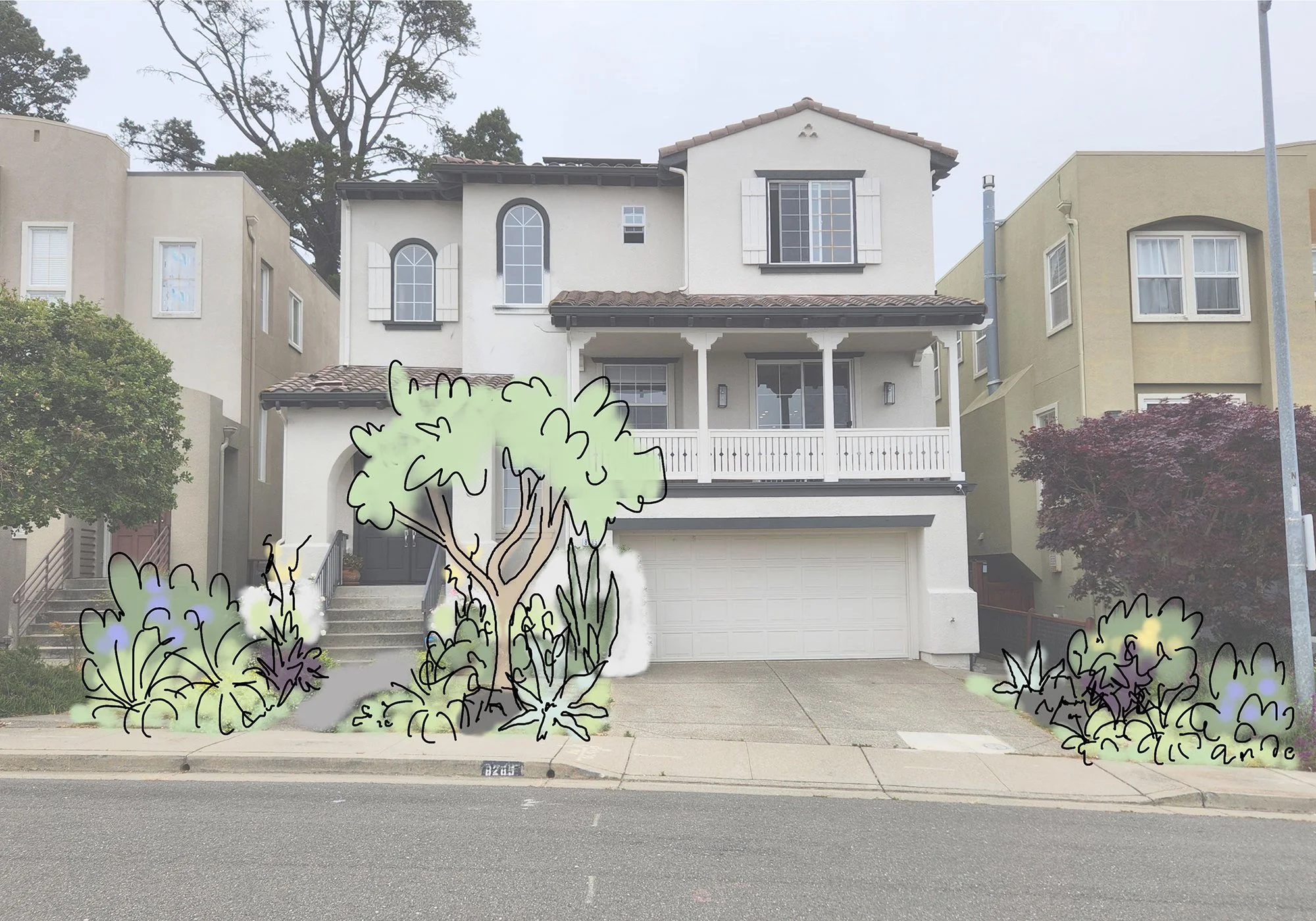 2024.10.17 Front Tree Adjustment.jpeg