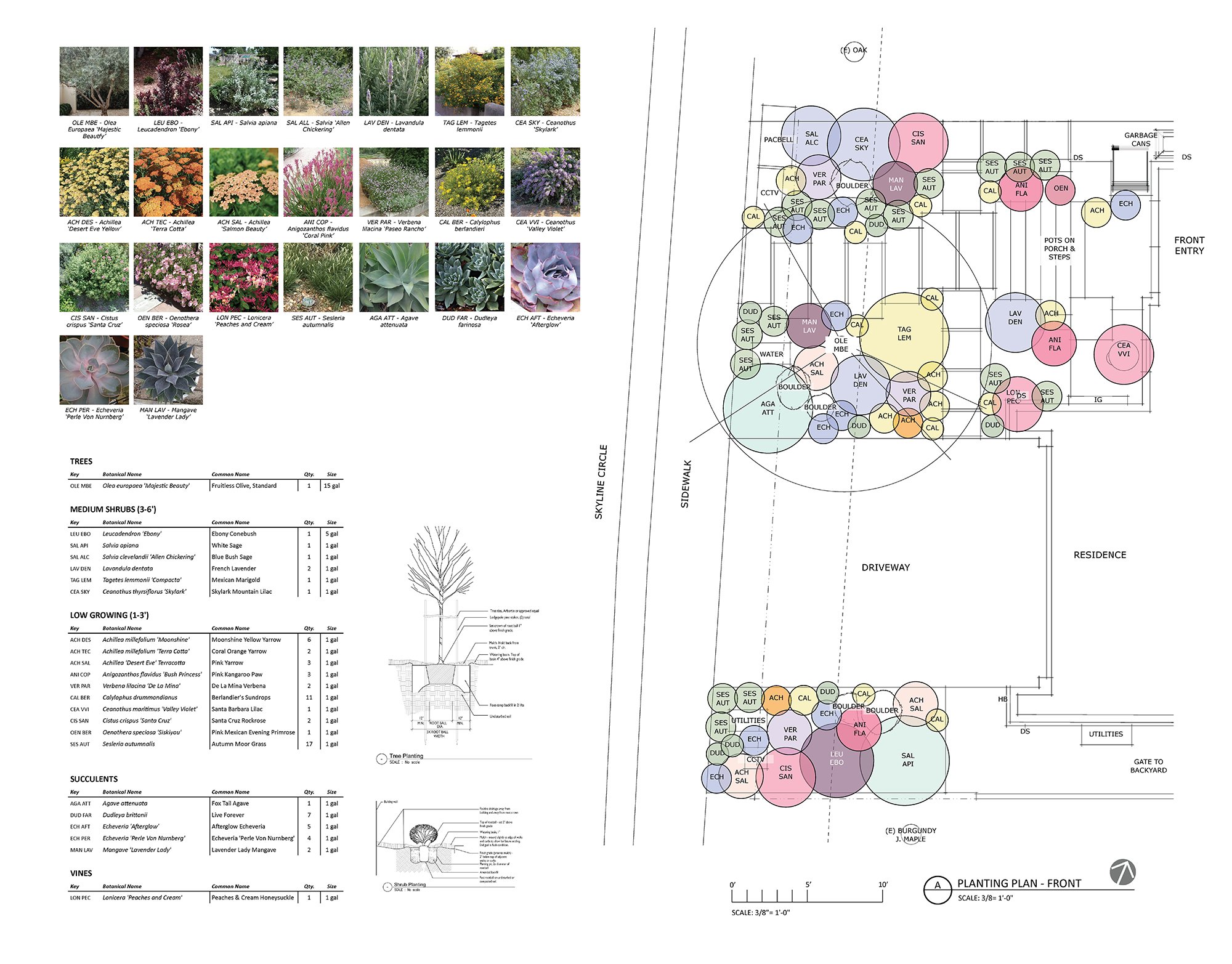 2025.01.08 ABBOTT-BELLISSIMI_FRONTGARDEN_FinalPlantingPlan.jpg