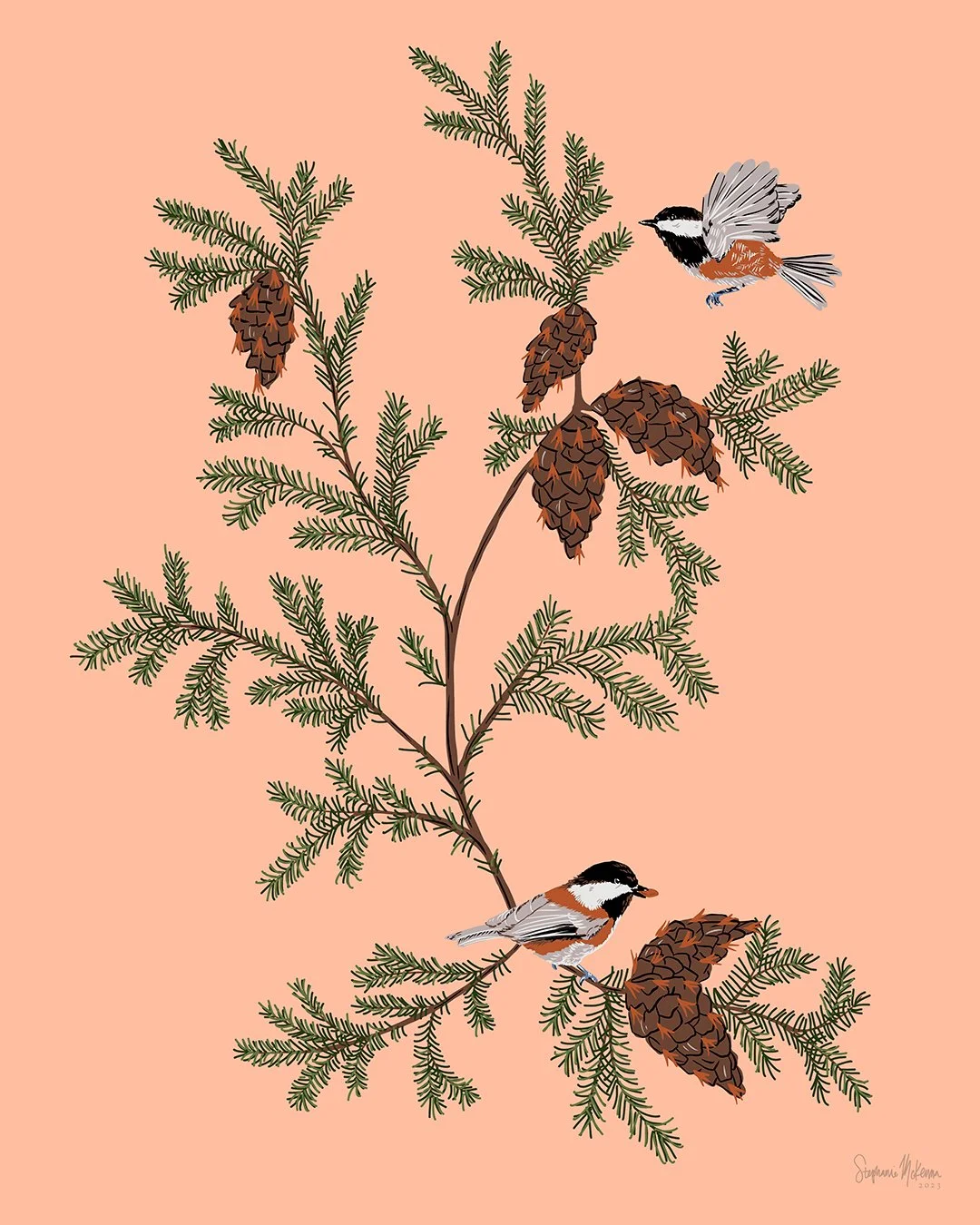 Chickadee + Douglas Fir Print