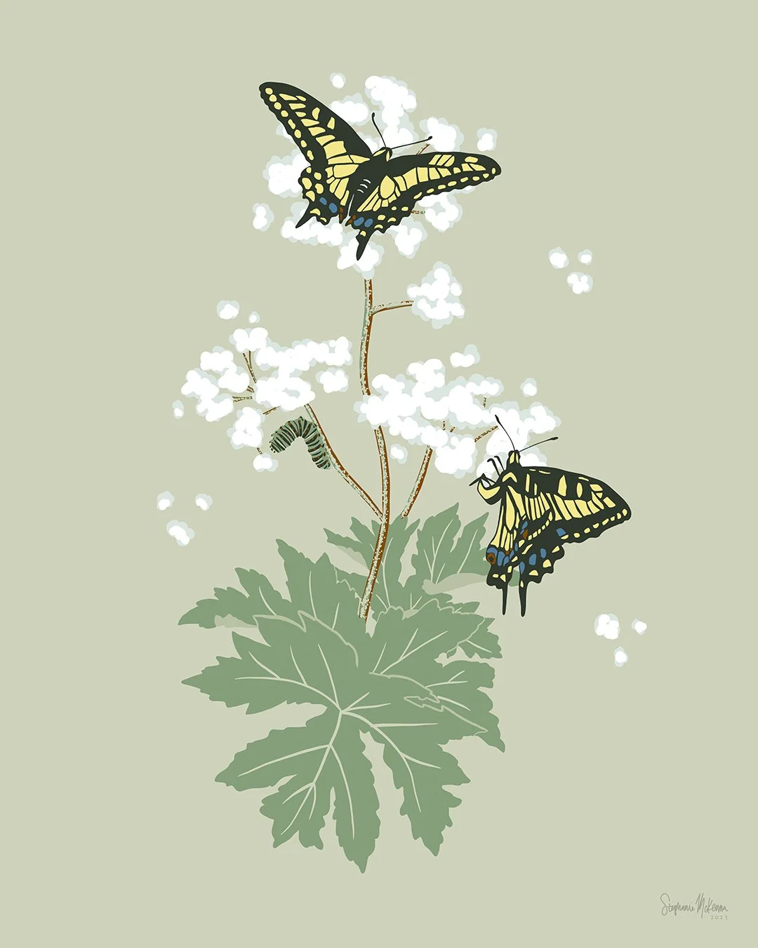Anise Swallowtail & Cow Parsnip Print