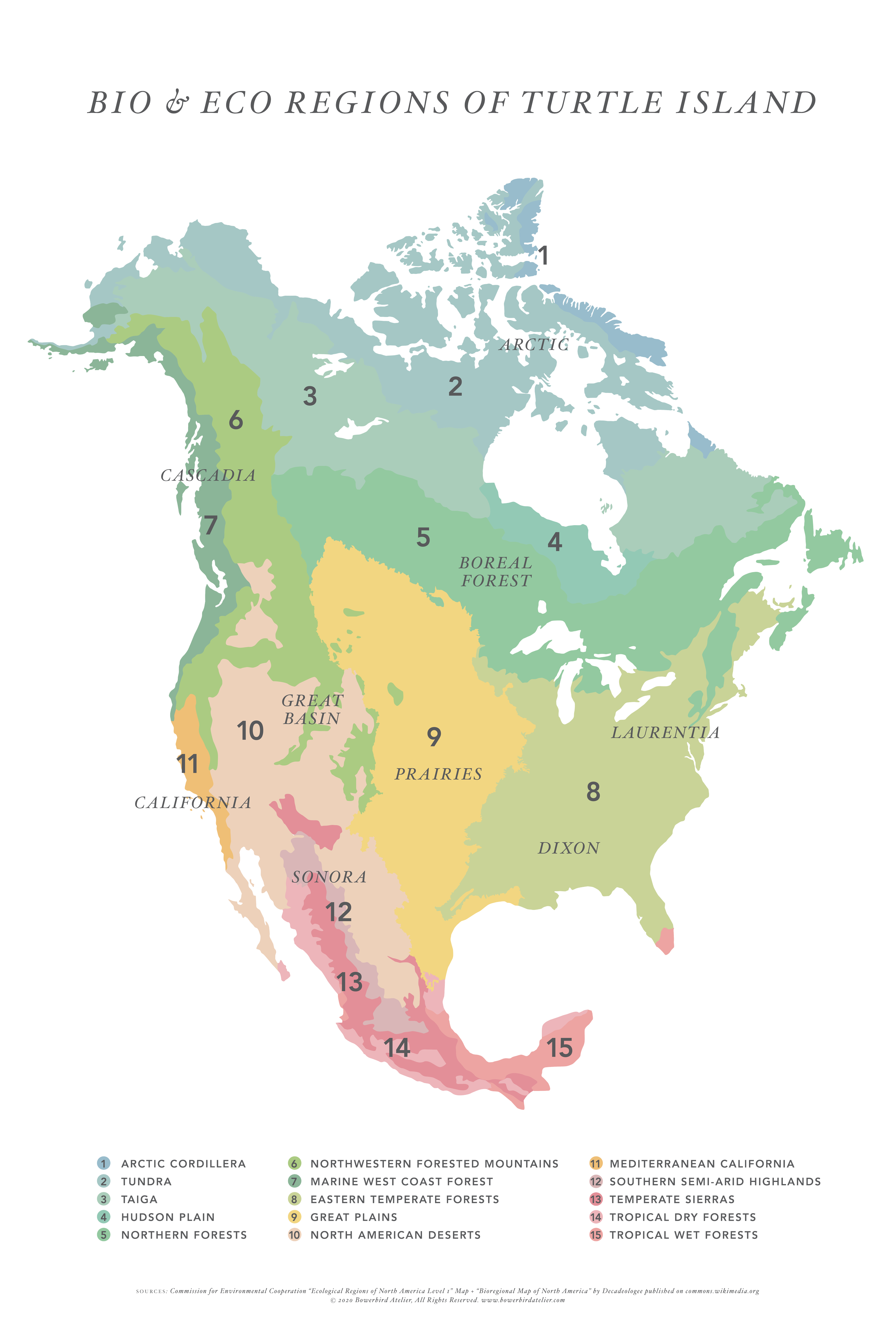 Turtle Island Bioregions Poster