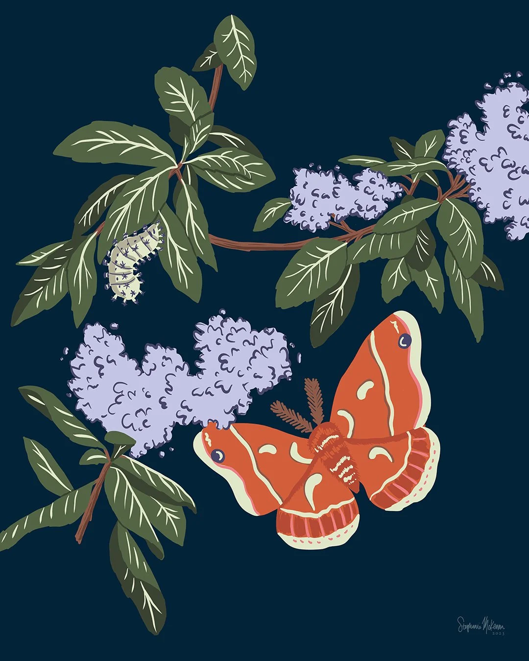 Ceanothus Silk Moth Print