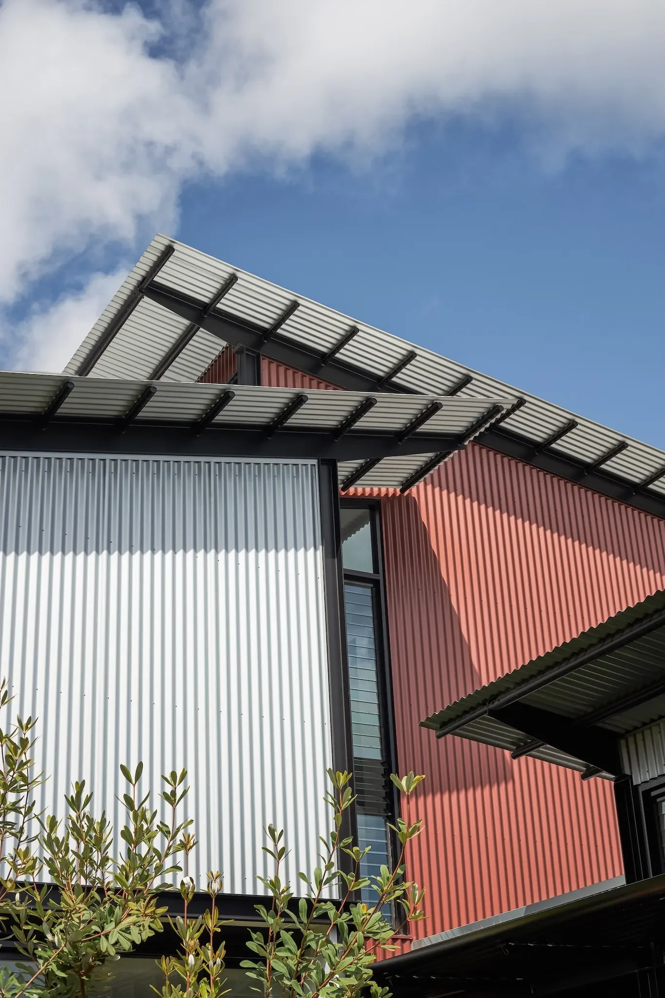 Modern duplex architecture using lightweight cladding and a one-behind-the-other layout to maximise site efficiency.