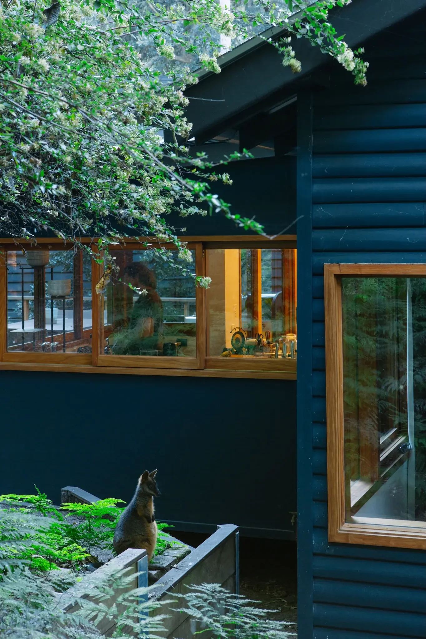 Home renovation with passive design principles