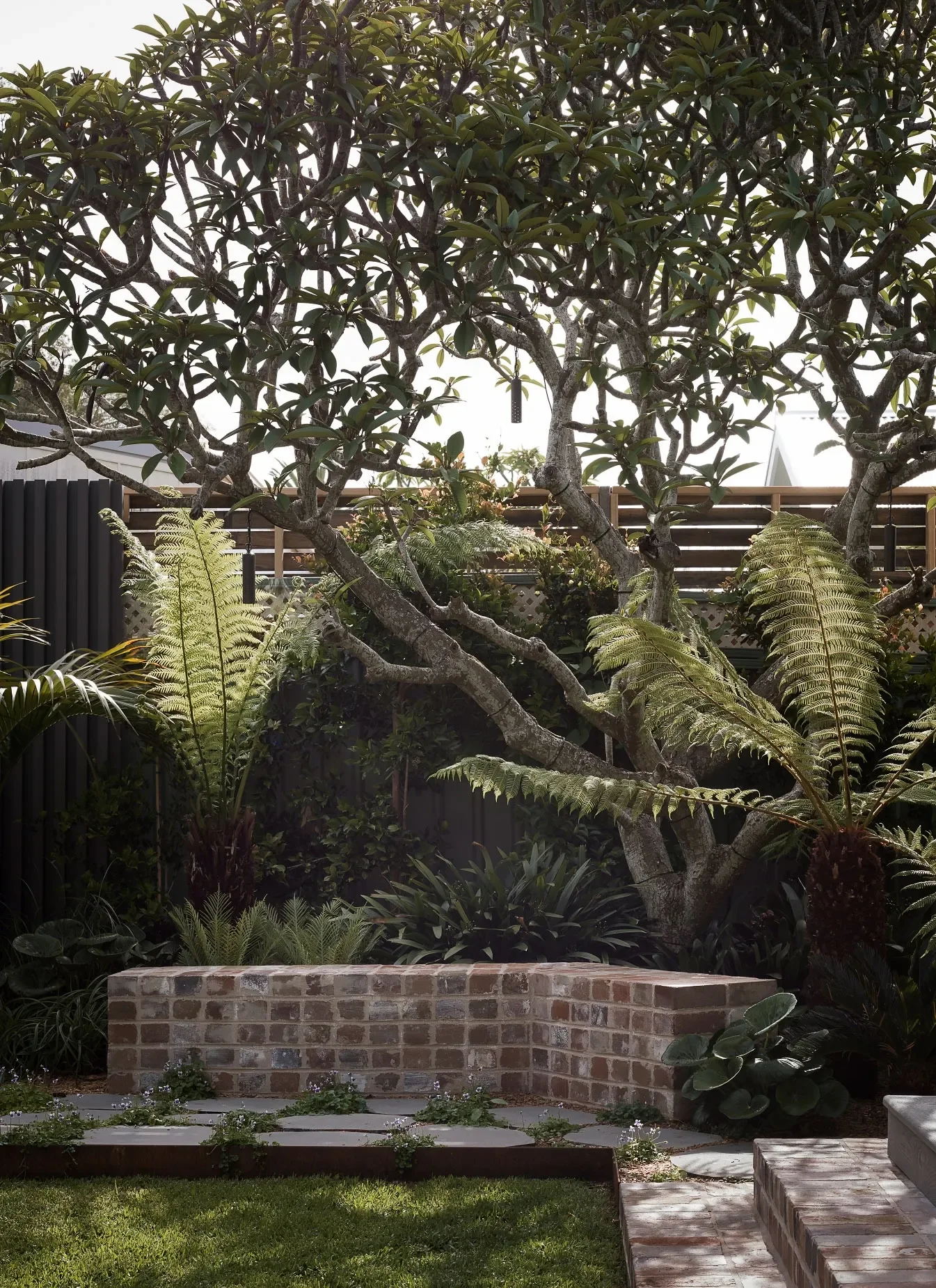 Garden path with native landscaping