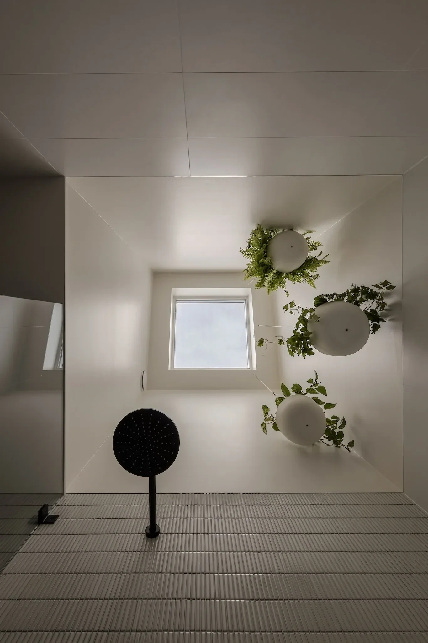 Natural light for a bathroom in a Pettit and Sevitt home renovation