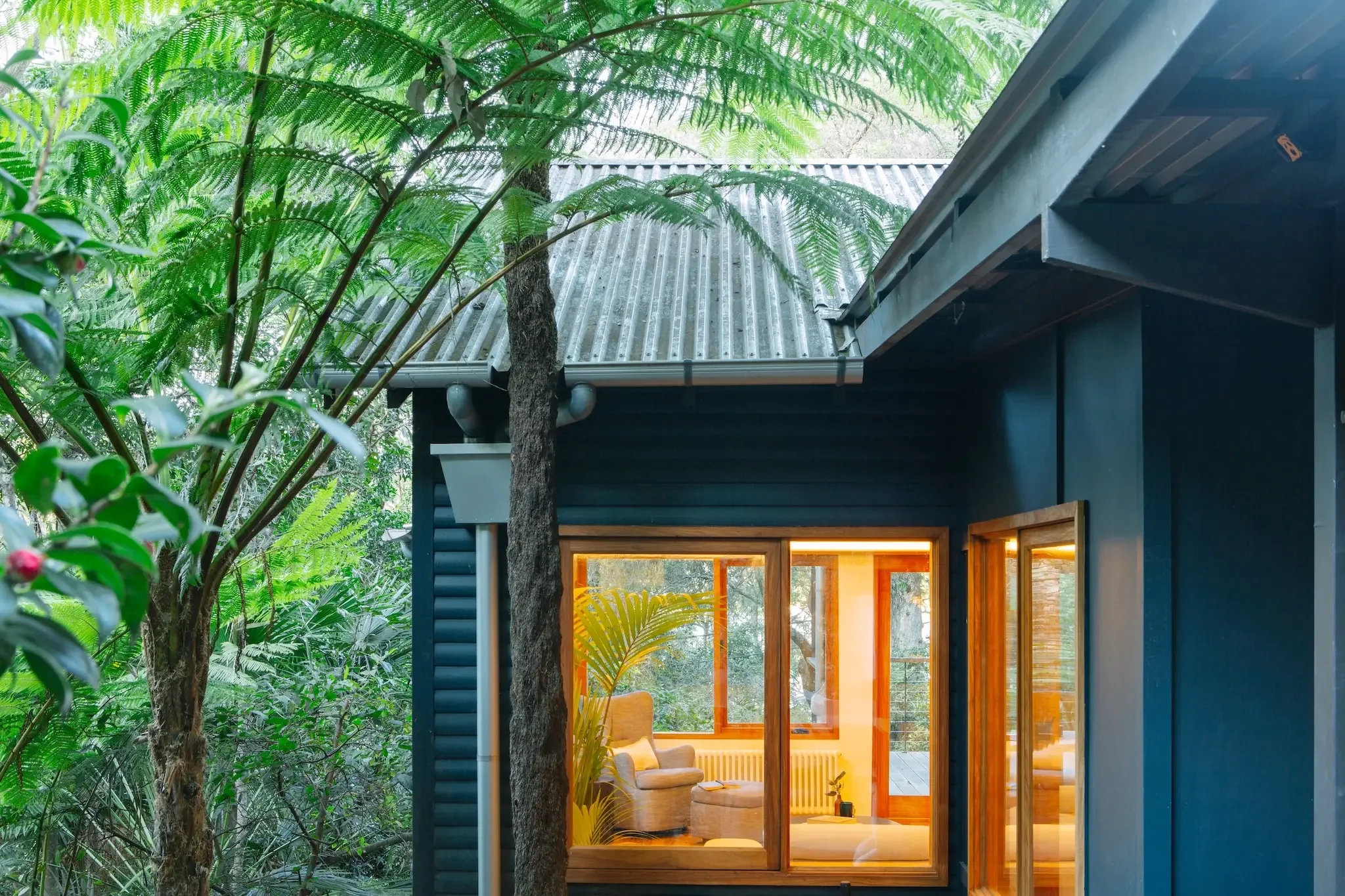 Outdoor terrace immersed in bushland