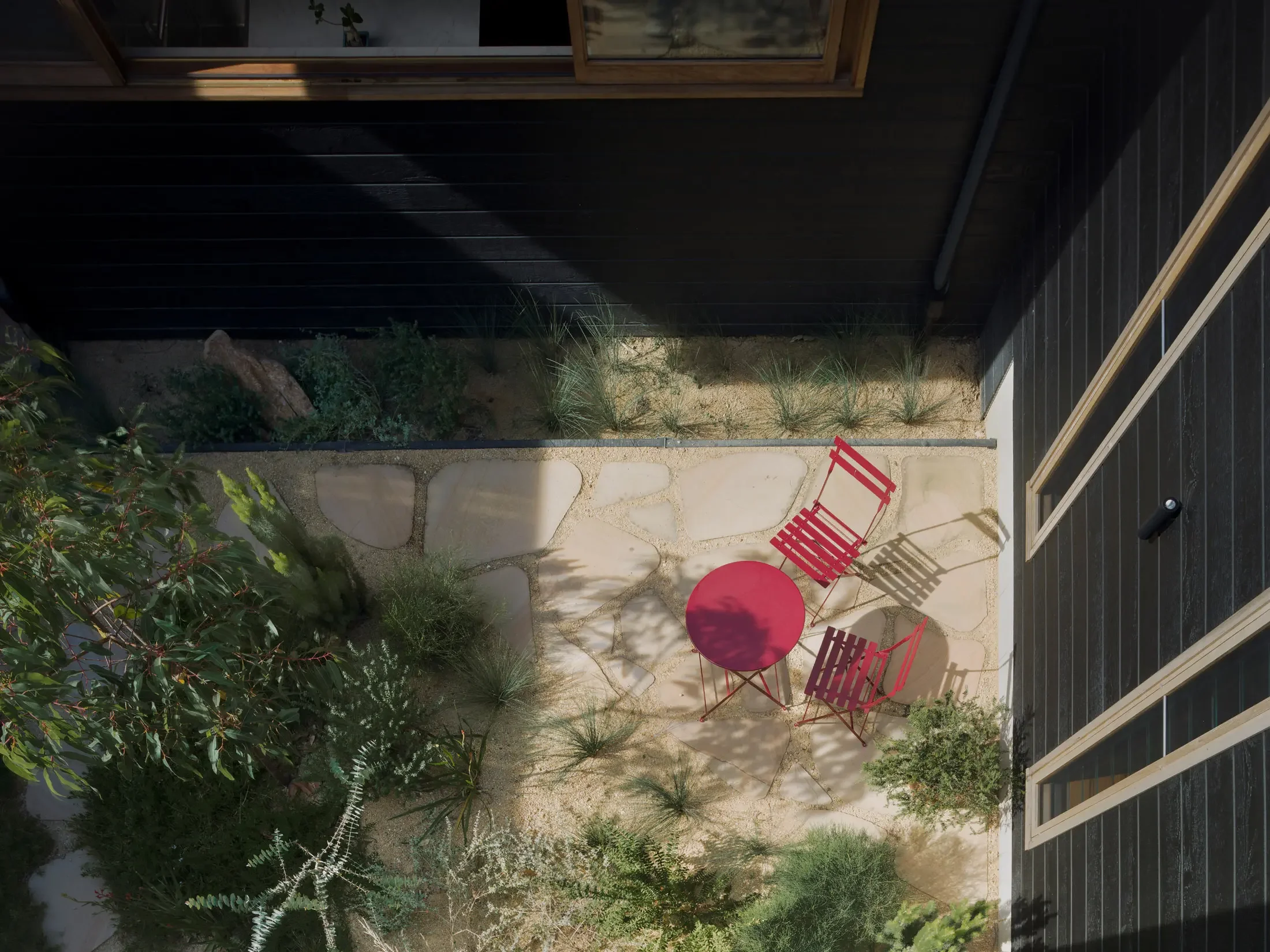 Eco-friendly courtyard garden with native Australian planting