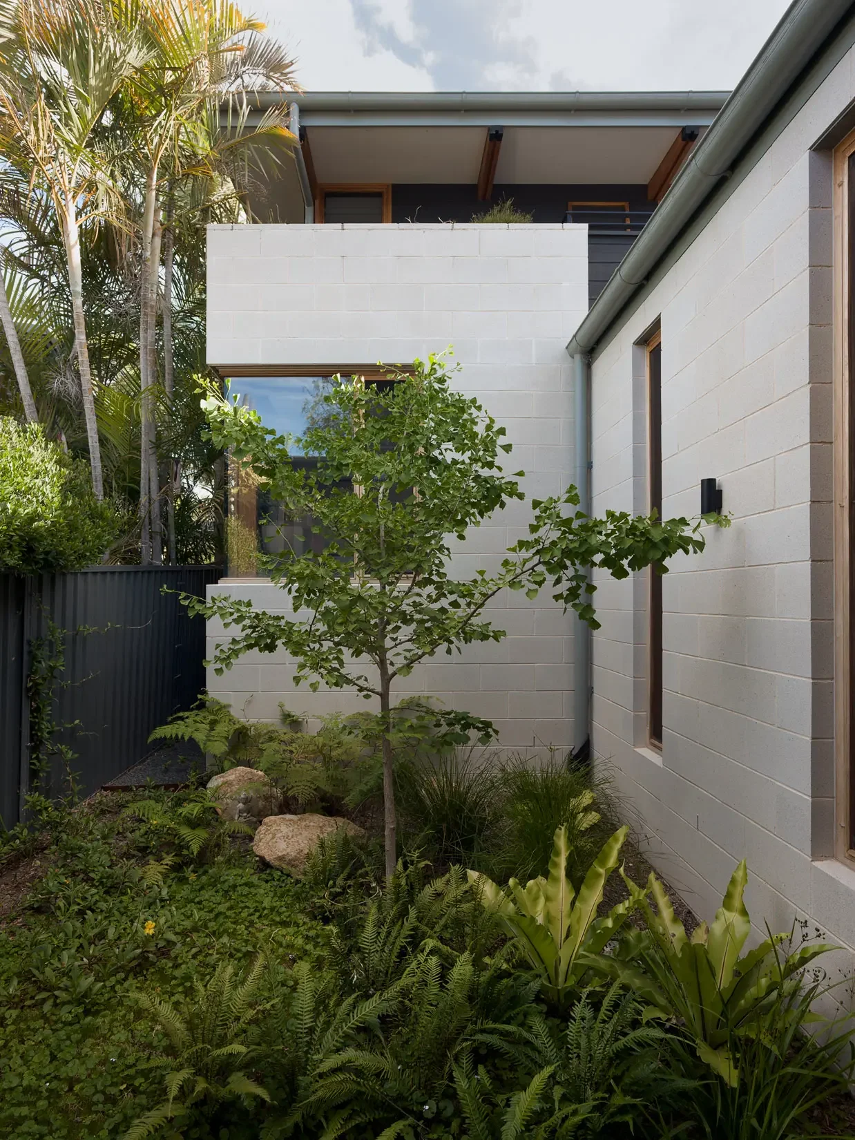 Side courtyard with garden path at Beela House